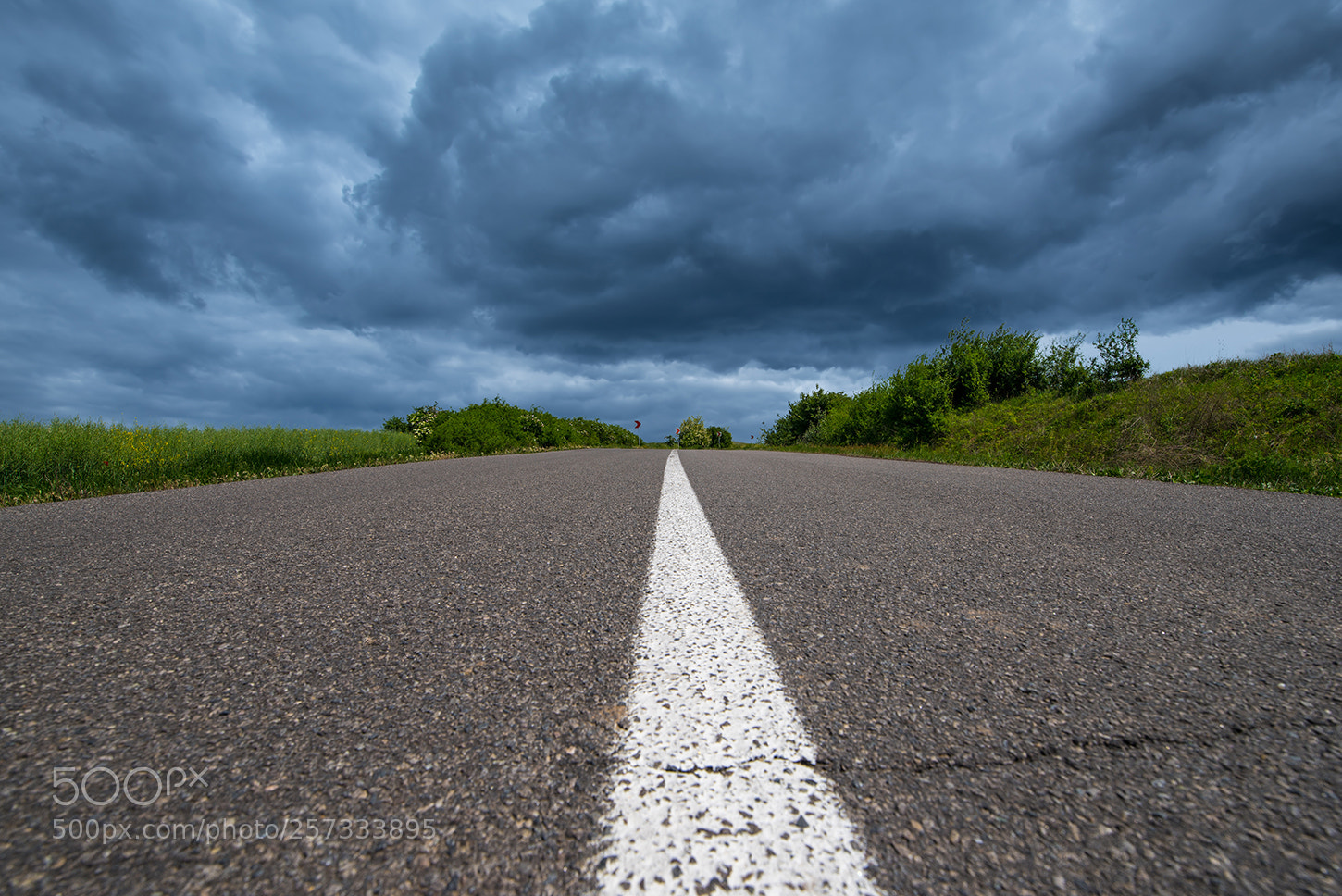 Nikon D750 sample photo. Endless road photography