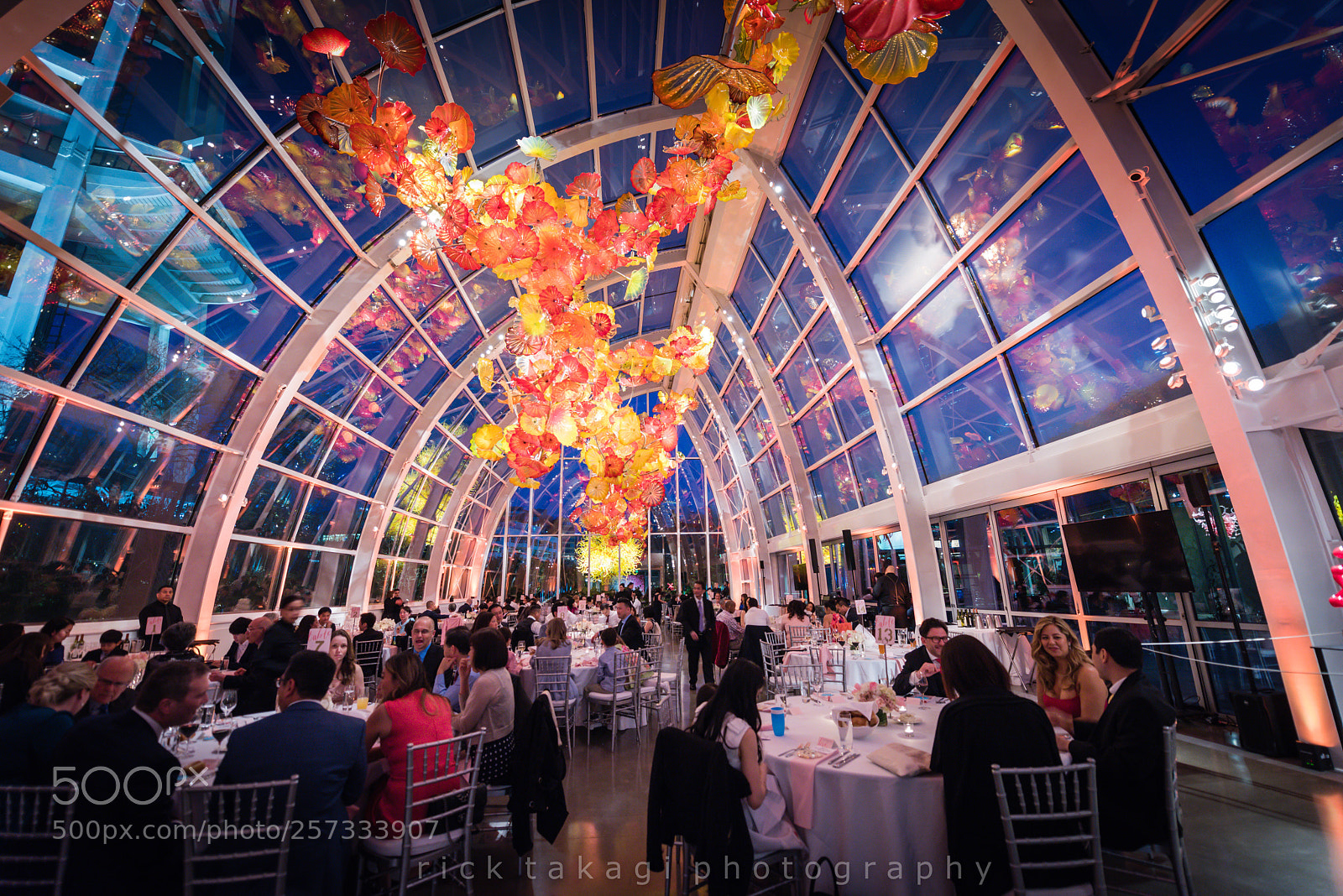 Nikon D810 sample photo. Chihuly garden and glass photography