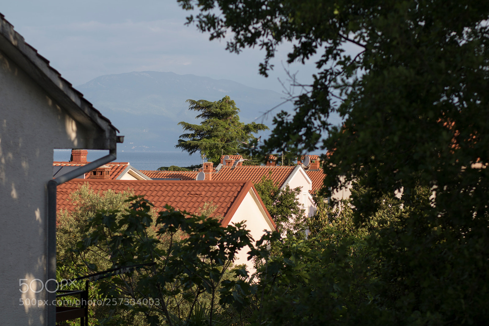 Canon EOS 760D (EOS Rebel T6s / EOS 8000D) sample photo. Img photography