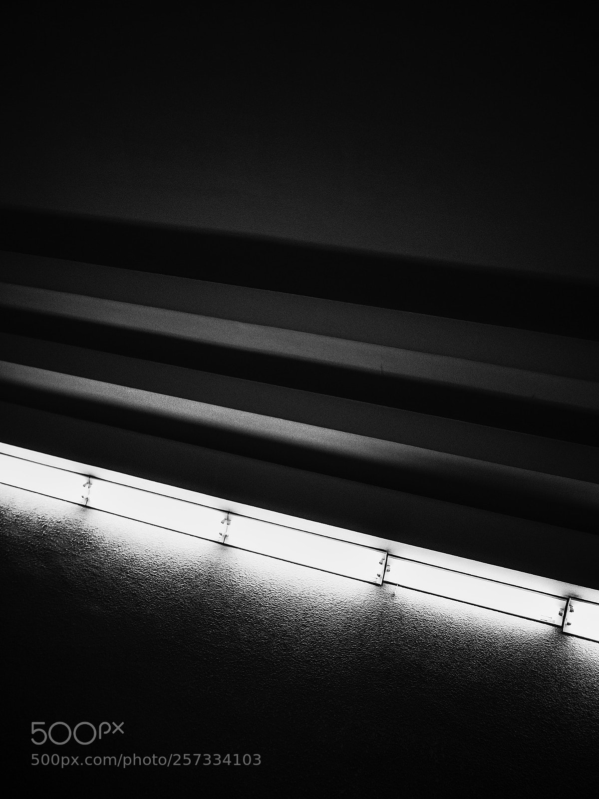 Ricoh GR II sample photo. Untitled photography