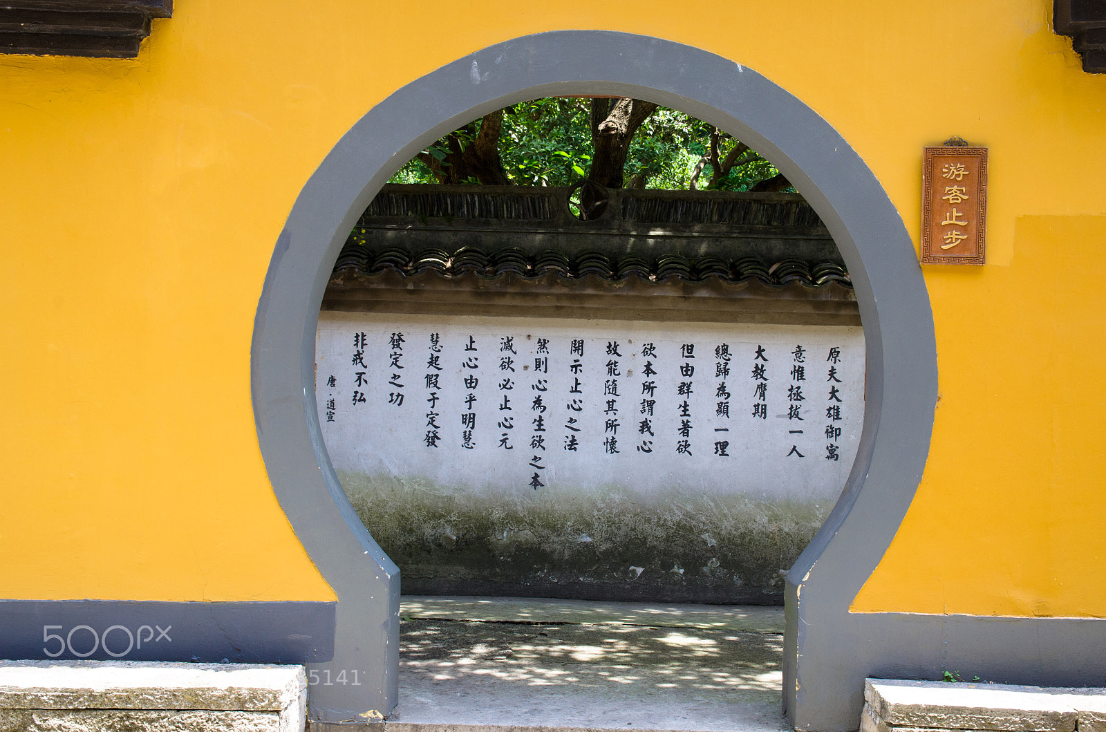 Nikon D5100 sample photo. Dsc photography