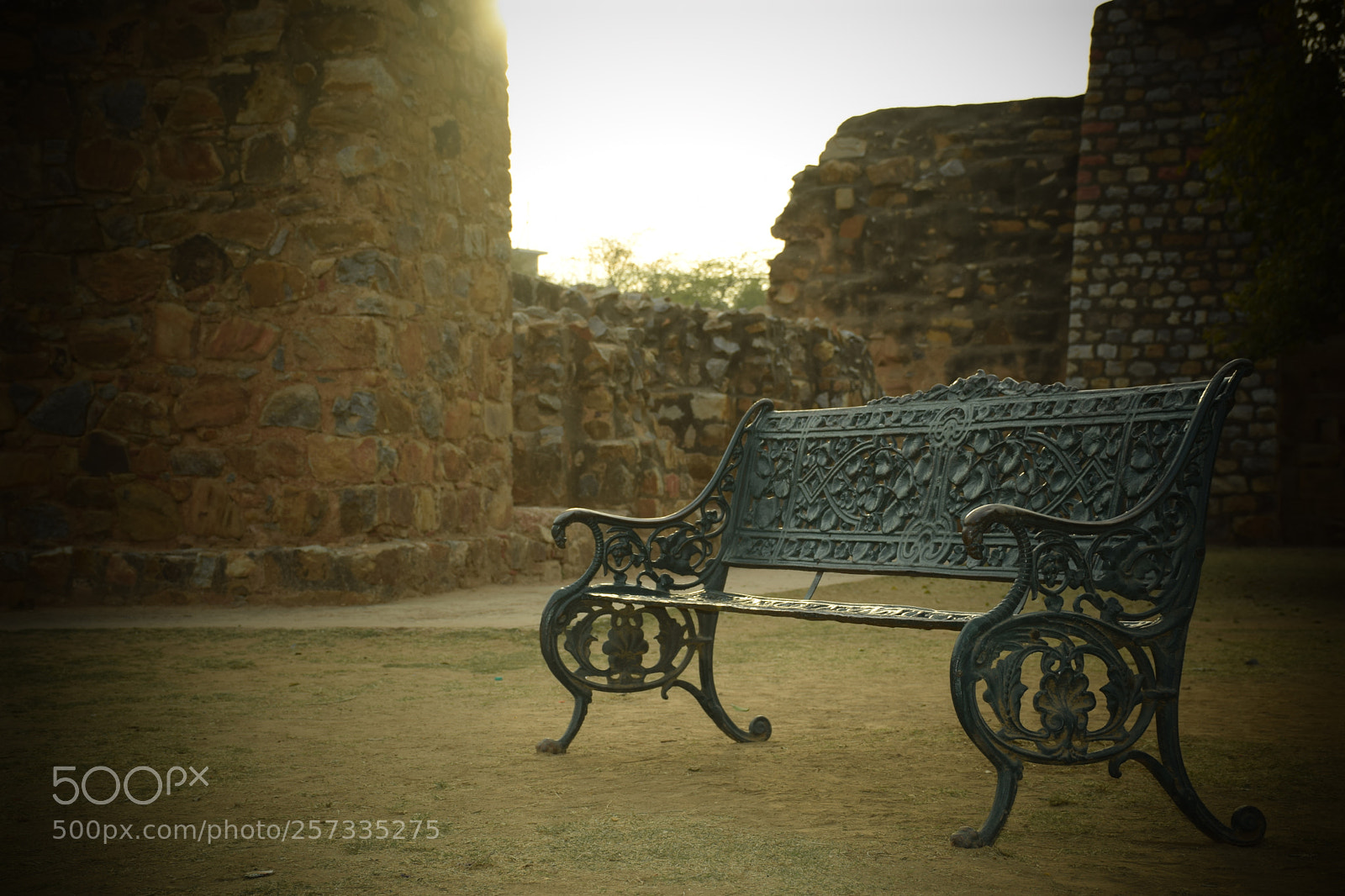 Nikon D5300 sample photo. Bench photography