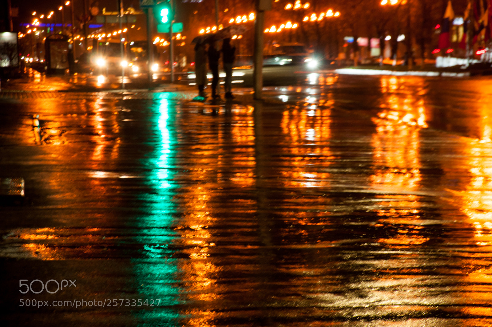 Nikon D5000 sample photo. Rain in the city photography