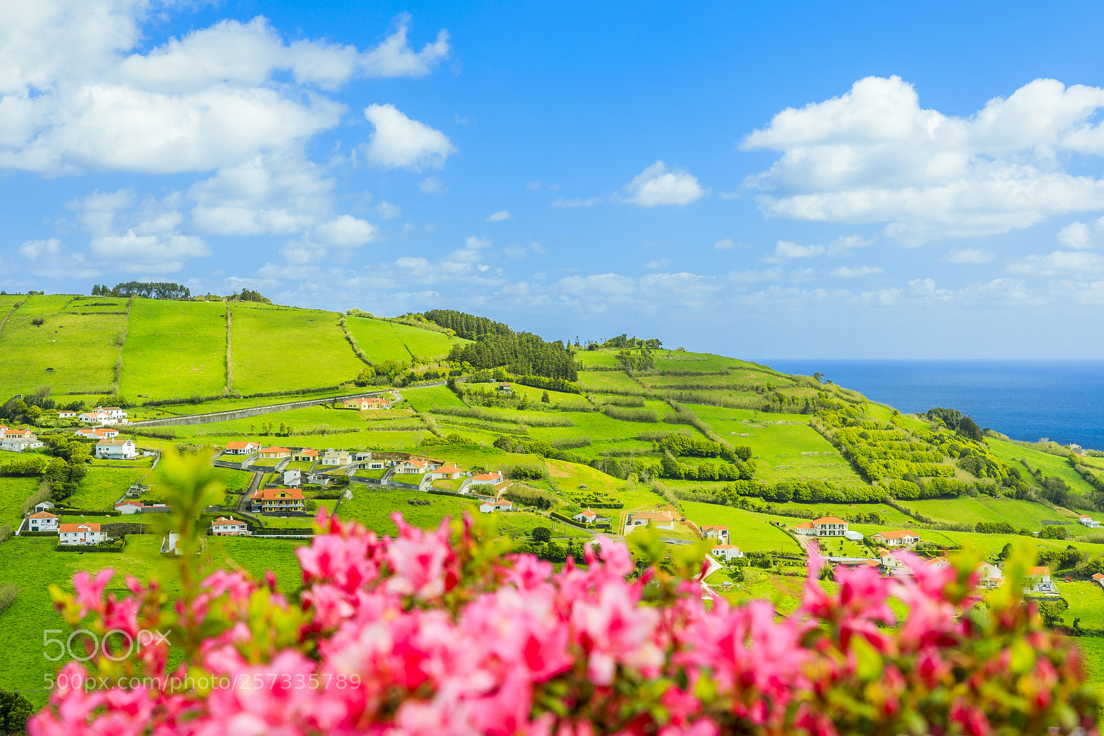 Canon EOS 5D Mark IV sample photo. Açores-faial-conceição photography