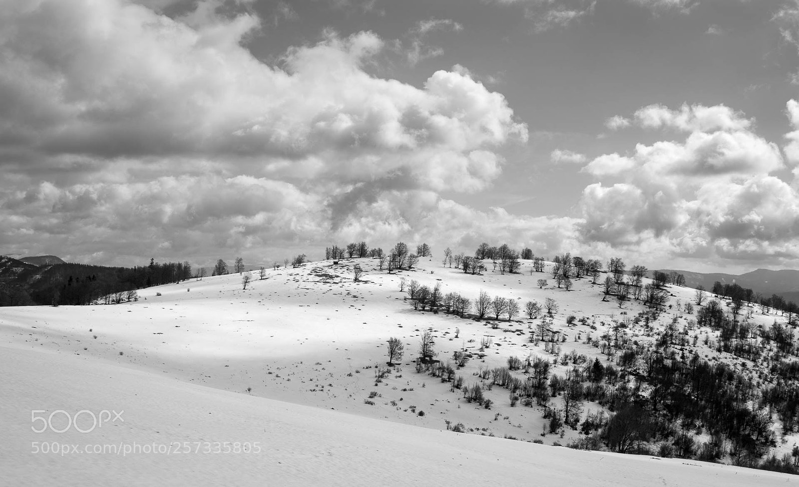 Canon EOS 77D (EOS 9000D / EOS 770D) sample photo. Winter in carpathians 4 photography