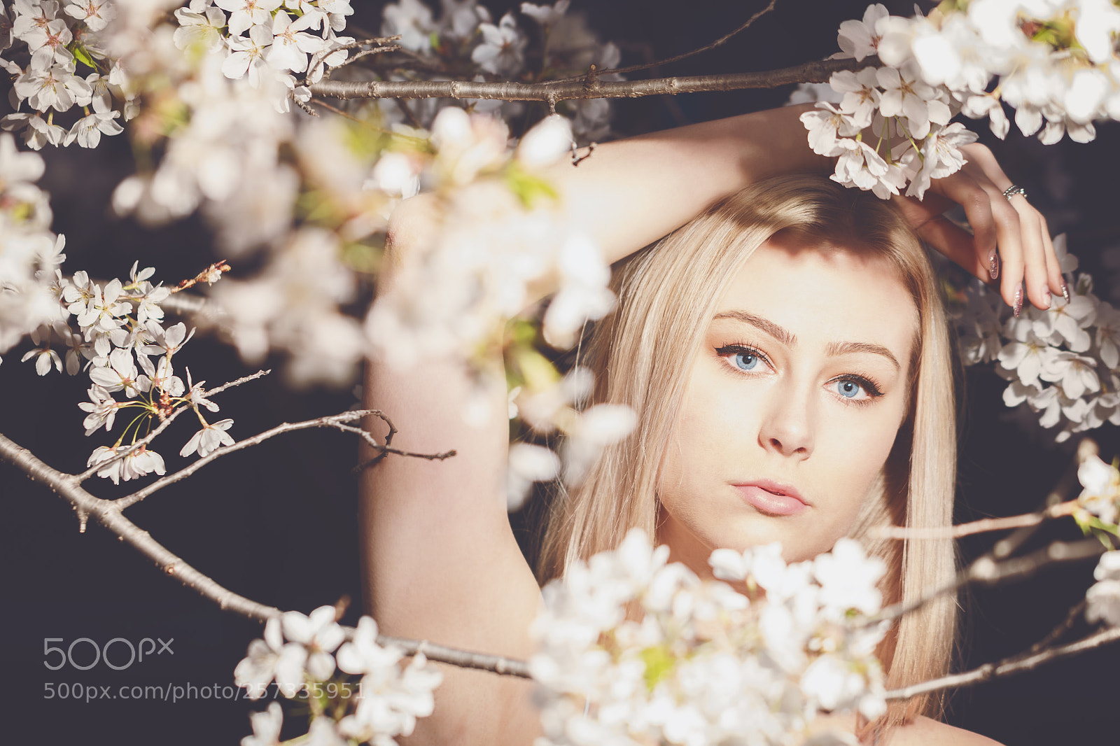 Canon EOS 7D Mark II sample photo. Blossom photography