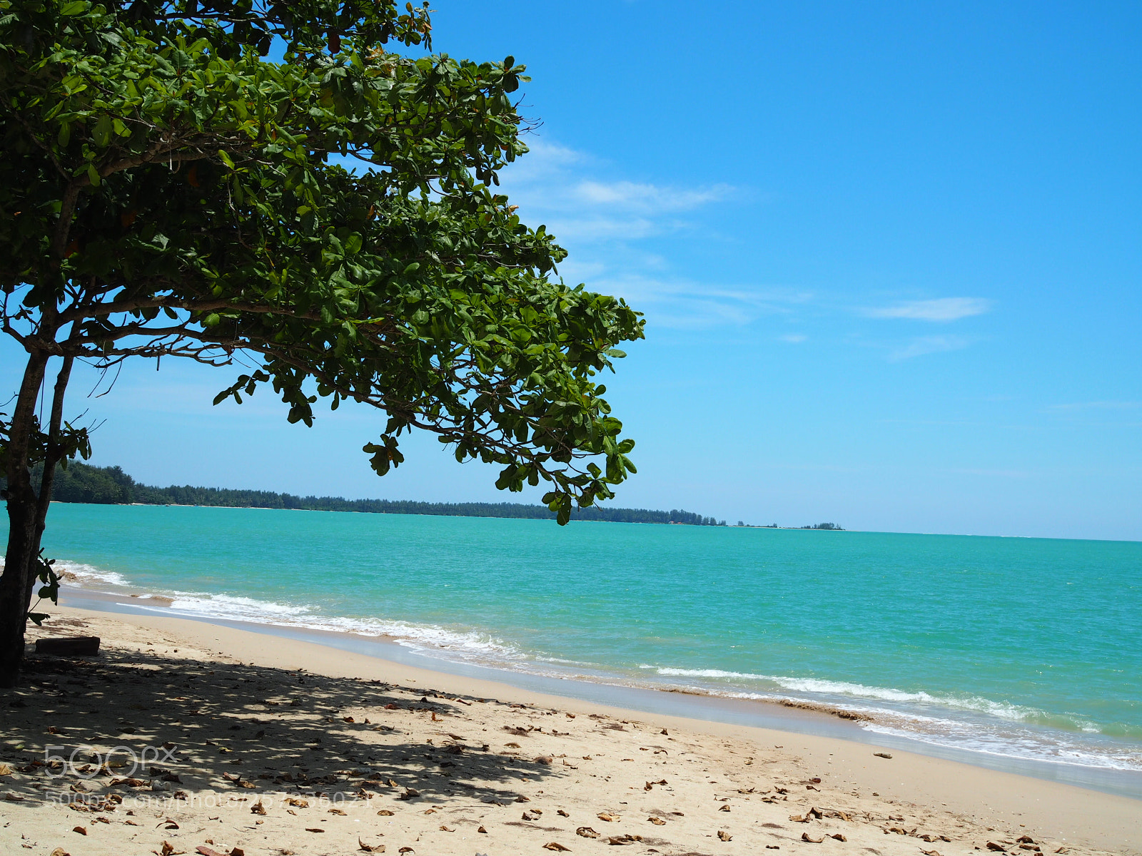 Olympus OM-D E-M10 sample photo. Pak weep beach photography