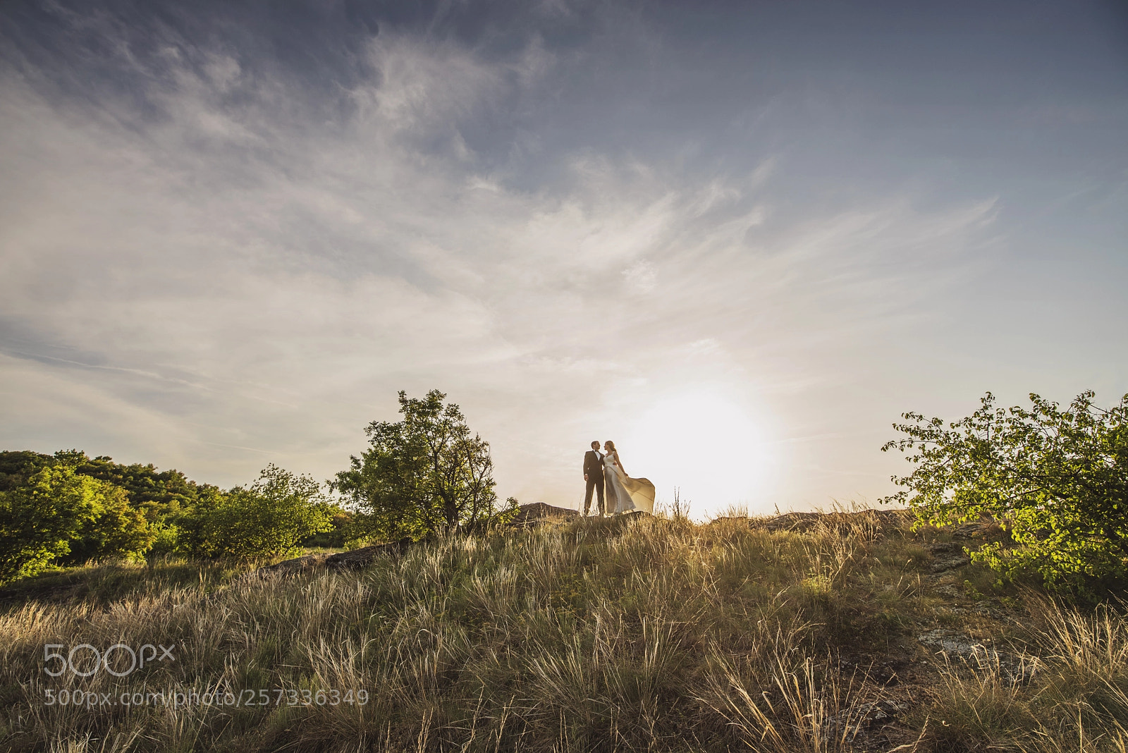 Nikon D750 sample photo. Love photography