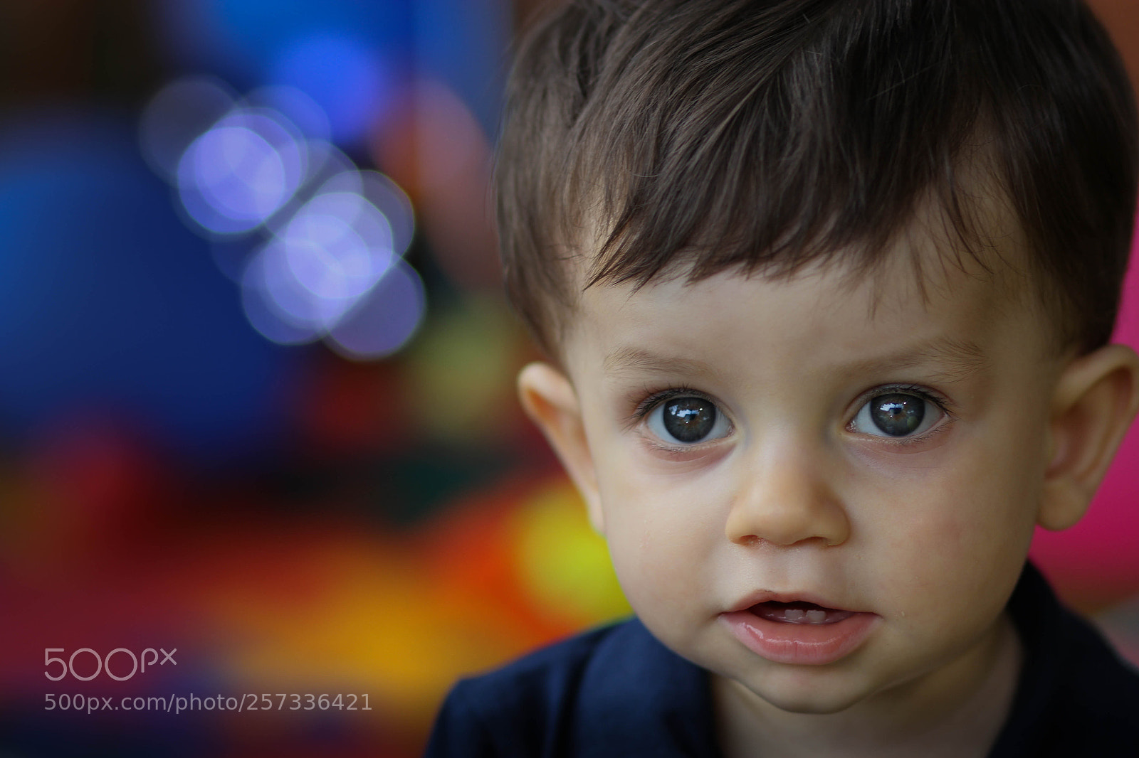 Canon EOS 60D sample photo. Bento foco photography