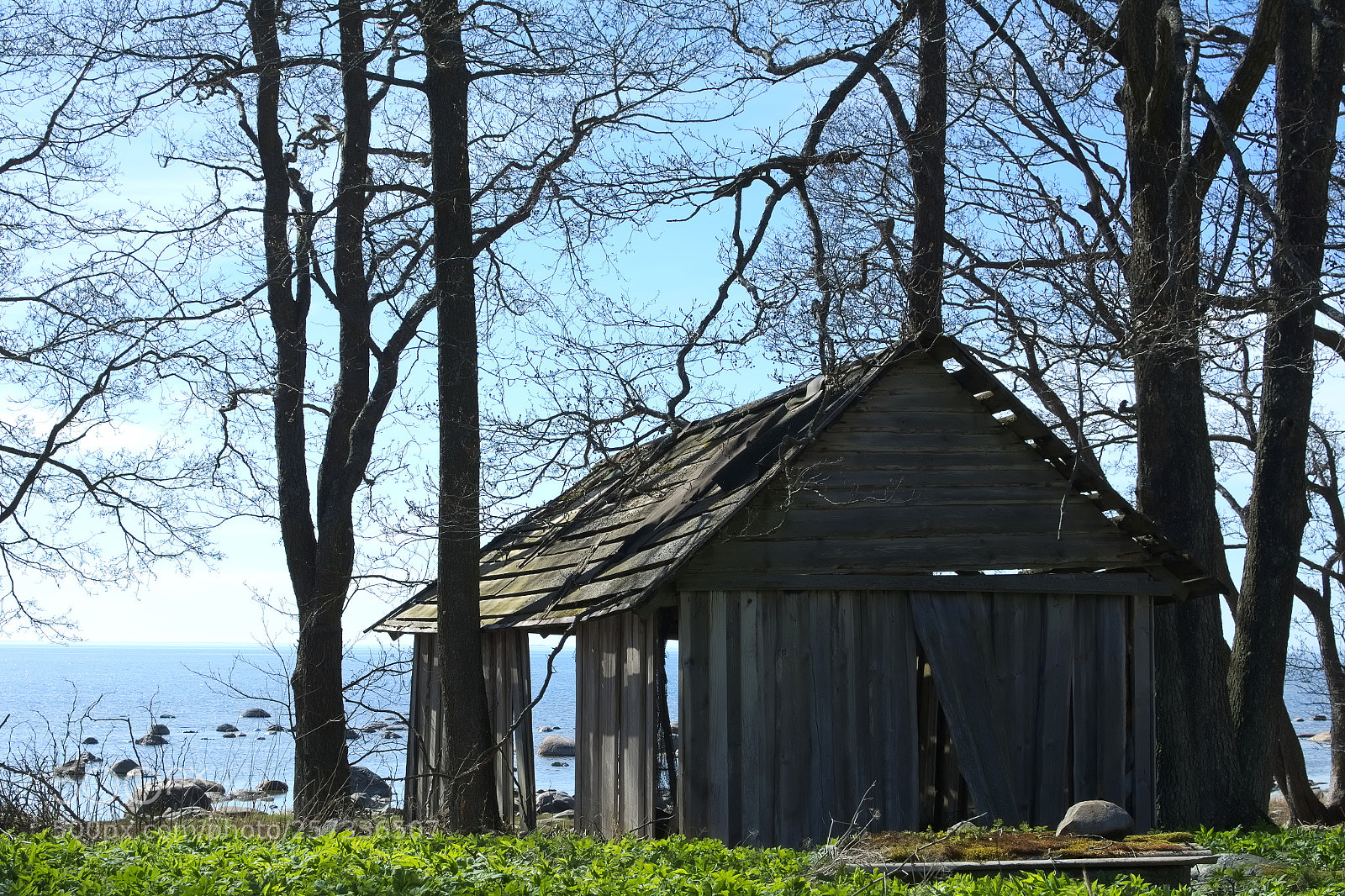 Nikon D7100 sample photo. Semi-transparent fishing shed photography