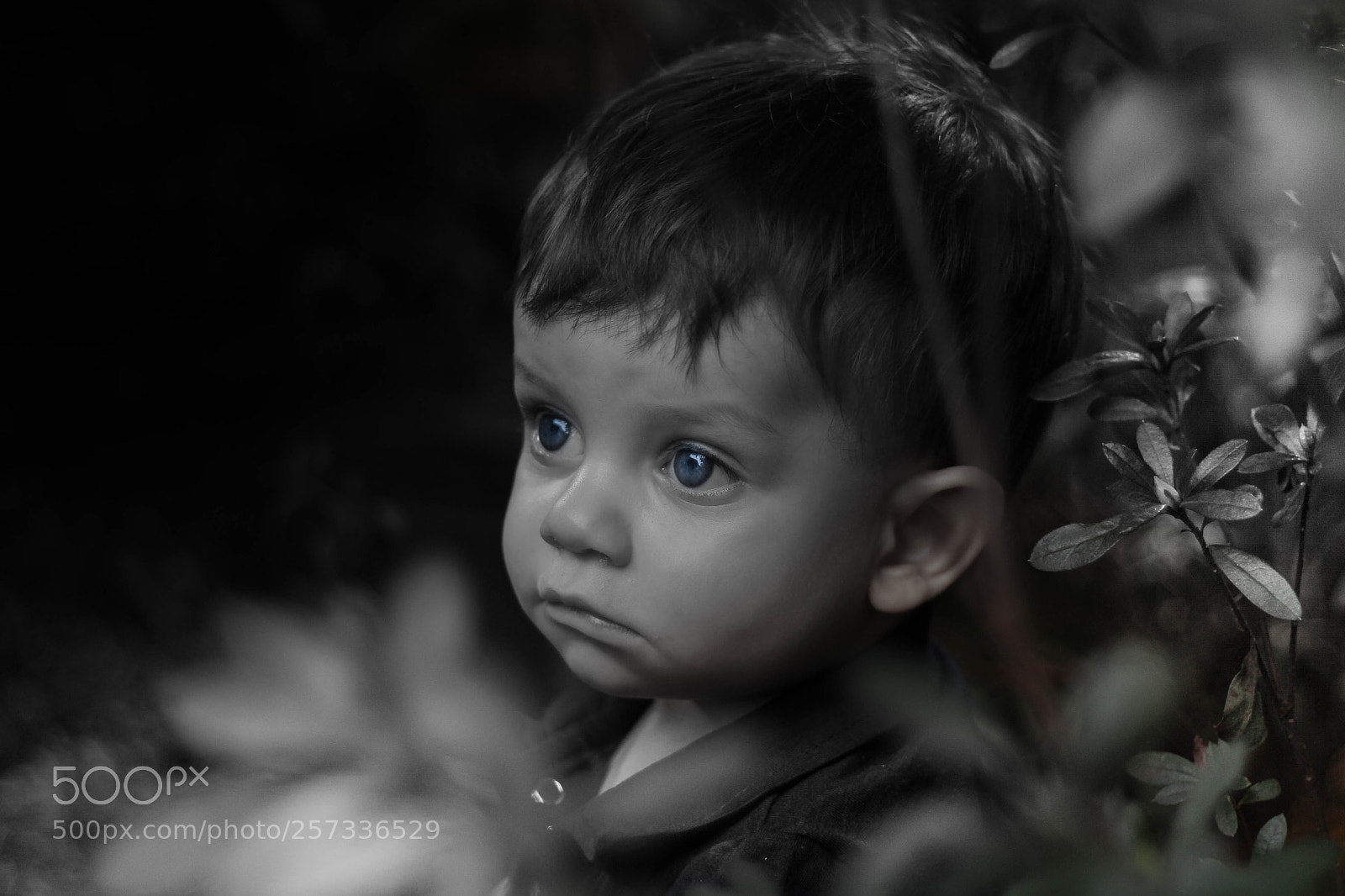 Canon EOS 60D sample photo. Olhos photography