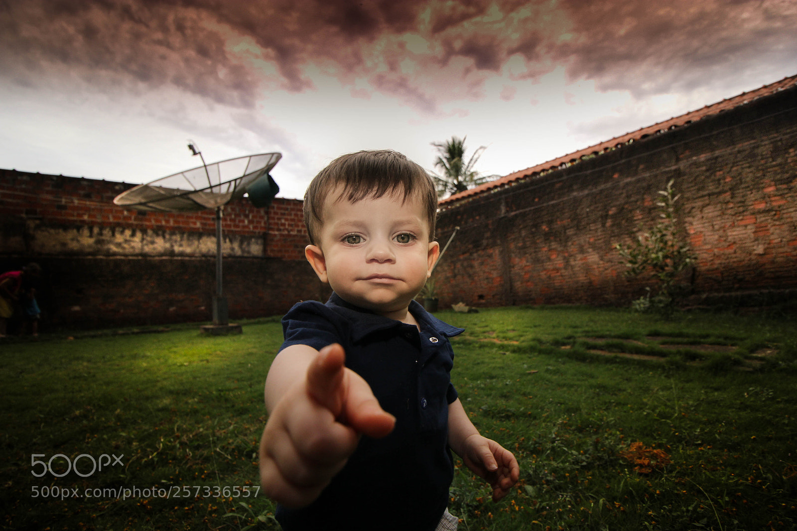 Canon EOS 60D sample photo. Olho photography