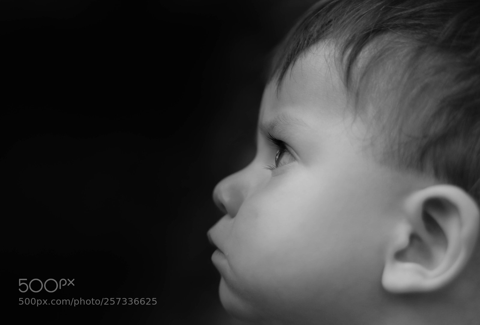 Canon EOS 60D sample photo. Img photography