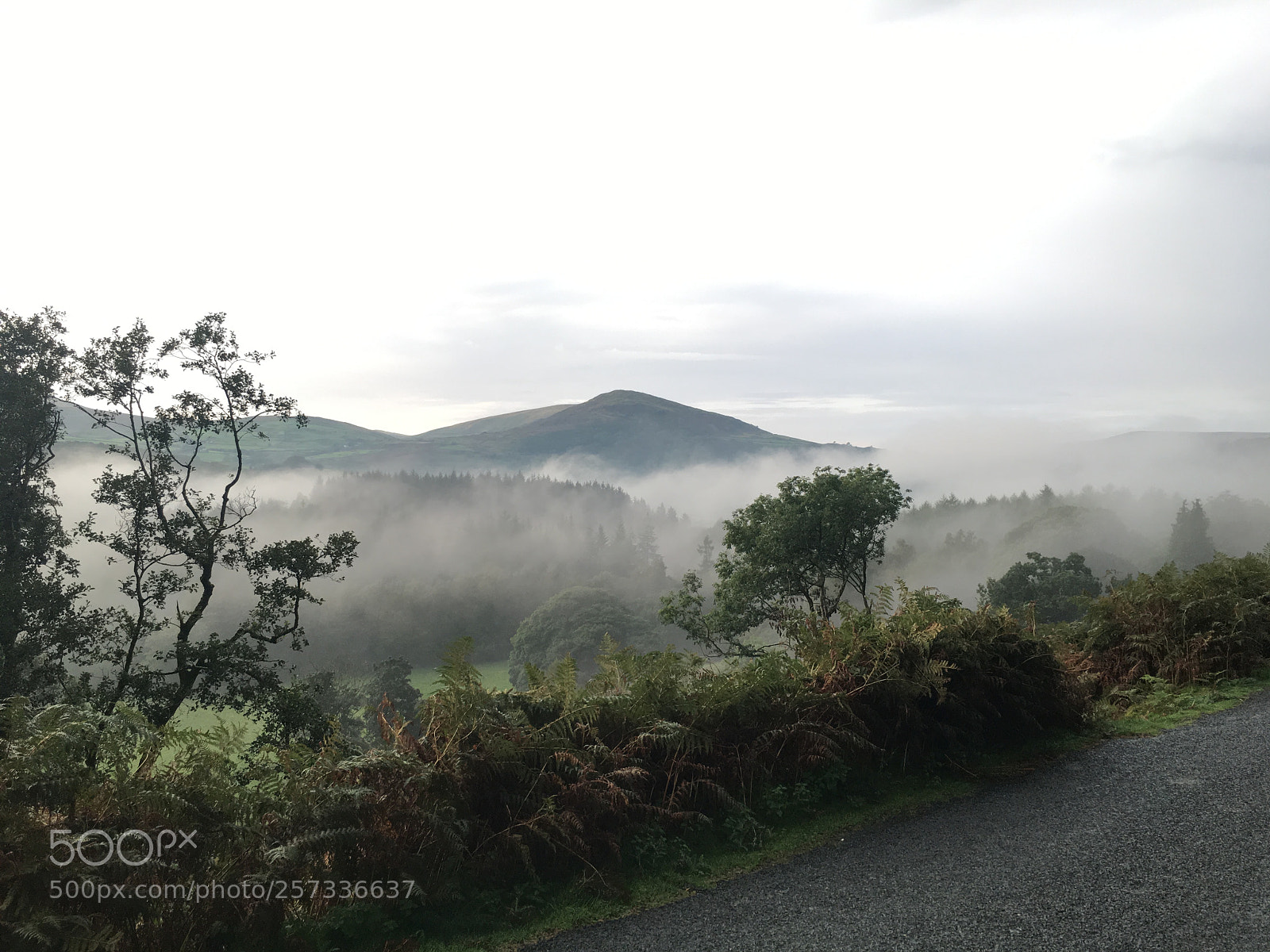 Apple iPhone 6s sample photo. Duddon valley spirit photography