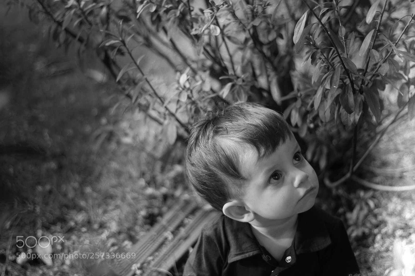 Canon EOS 60D sample photo. Img photography