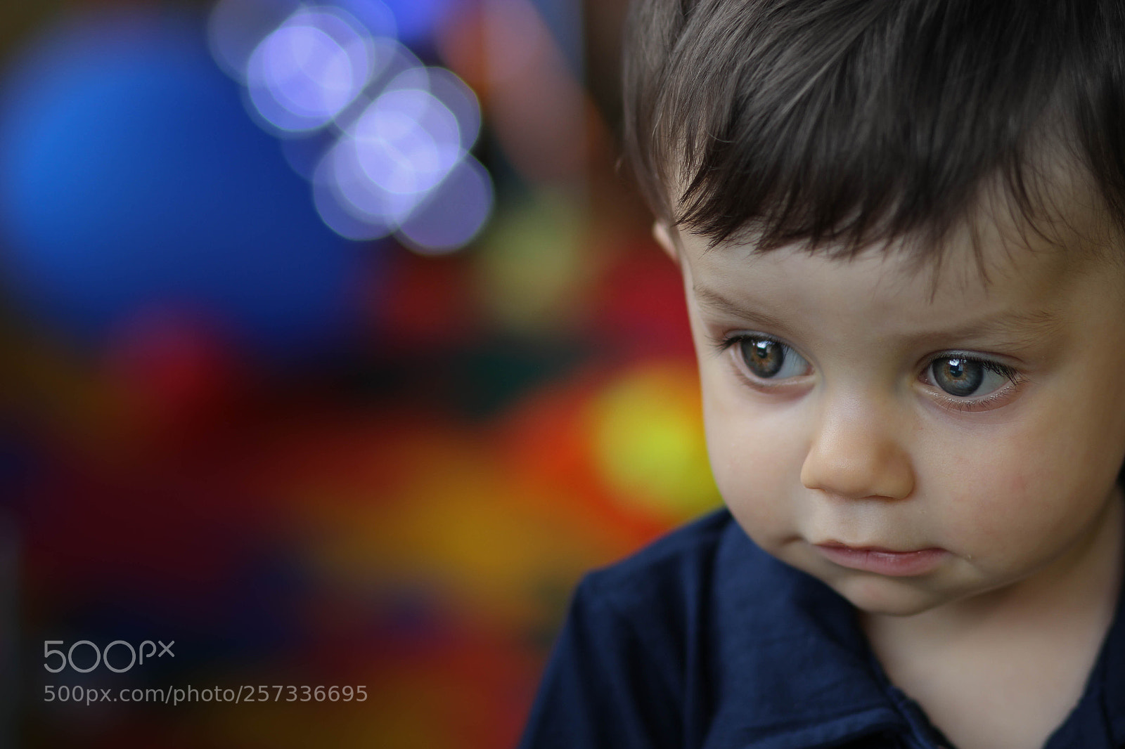 Canon EOS 60D sample photo. Img photography
