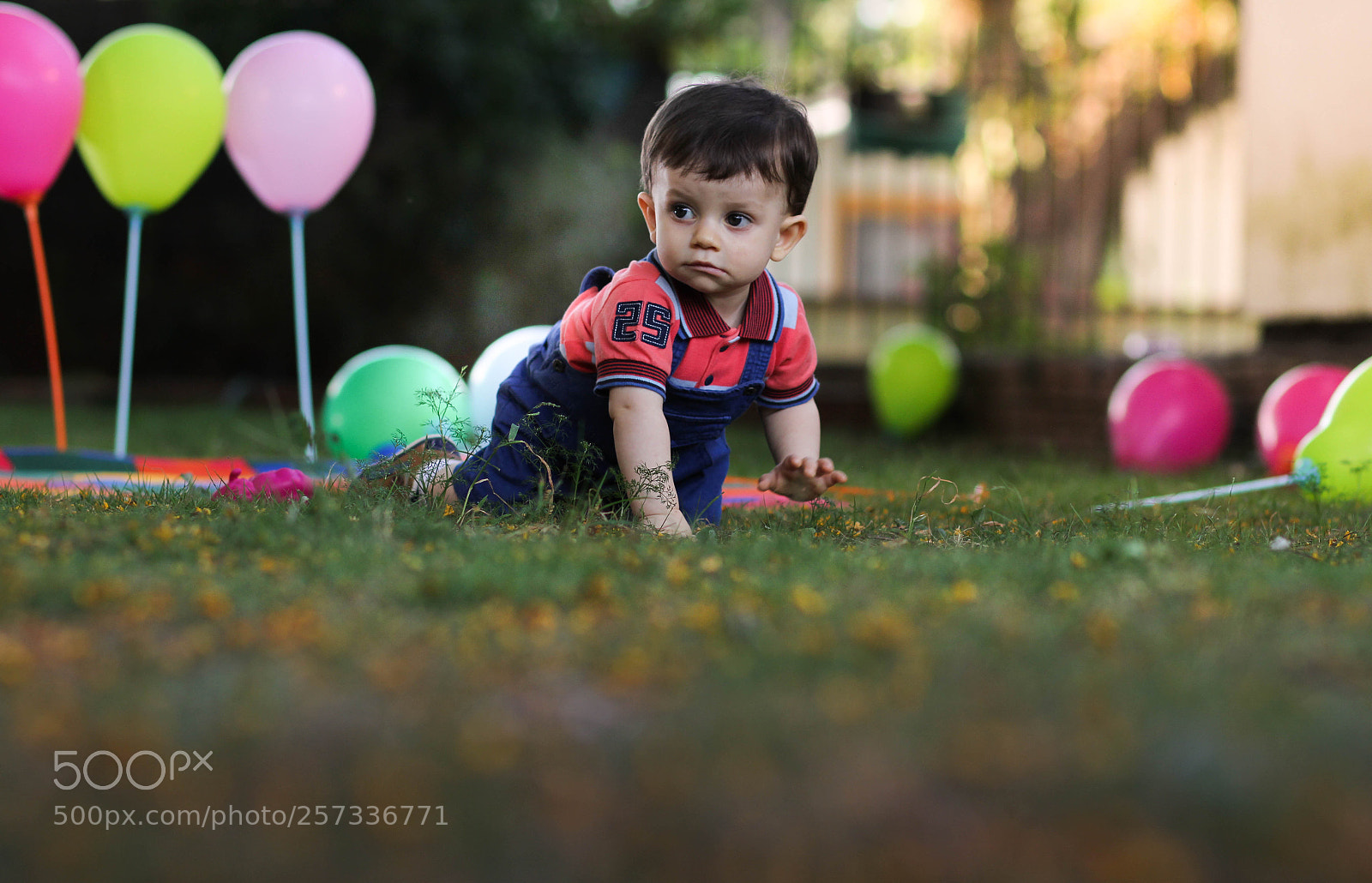 Canon EOS 60D sample photo. Img photography