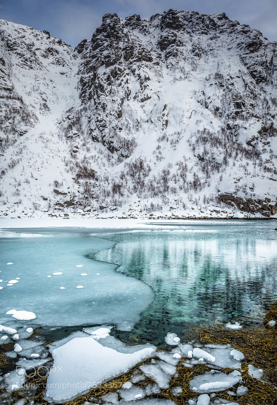 Canon EOS 6D Mark II sample photo. The winter freeze photography