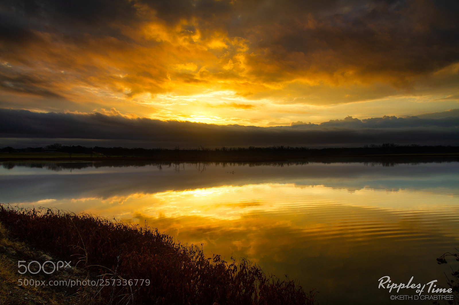 Canon EOS 7D sample photo. A golden reflection photography