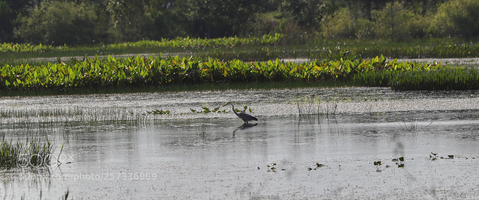 Canon EOS-1D X Mark II sample photo. 05-10-18-0017058.jpg photography