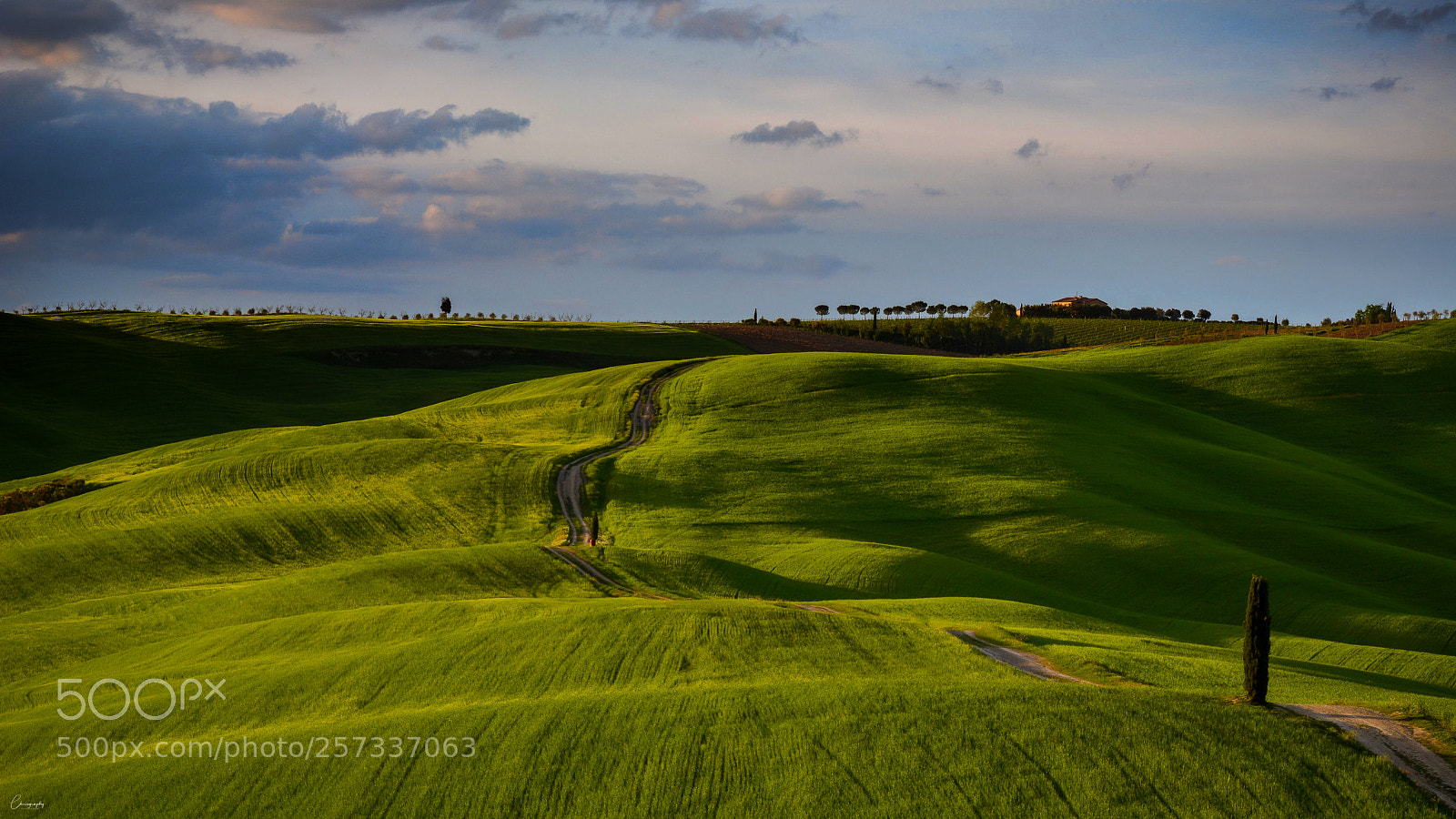 Nikon D7100 sample photo. Toscana photography