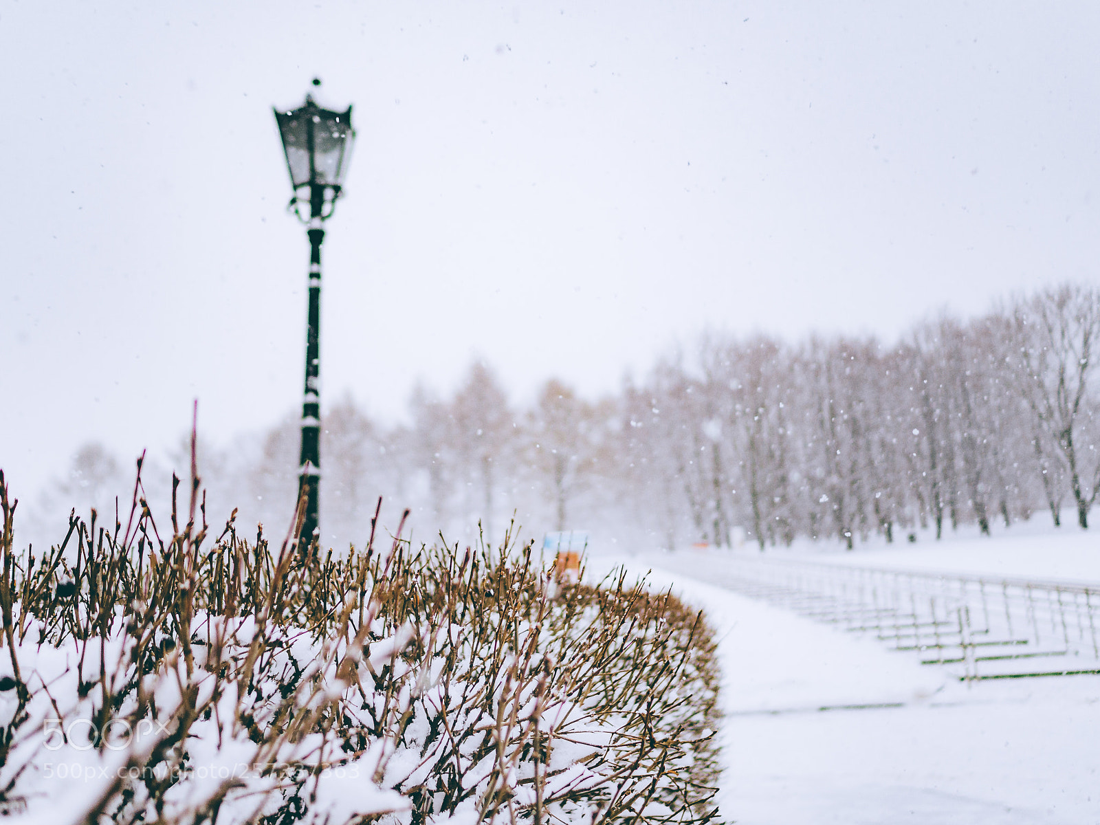 Olympus OM-D E-M10 II sample photo. Snowstorm photography