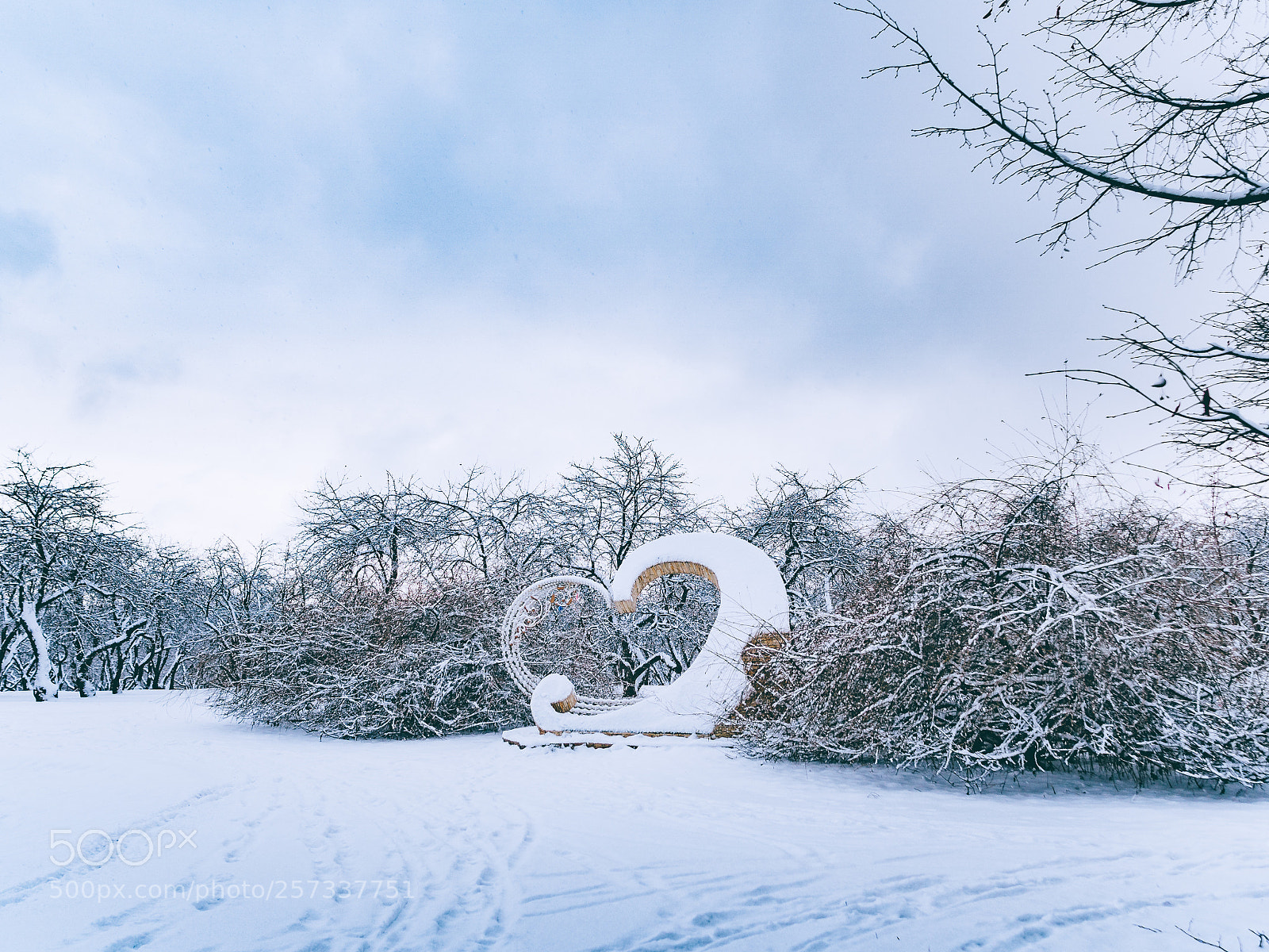 Olympus OM-D E-M10 II sample photo. Winter love photography