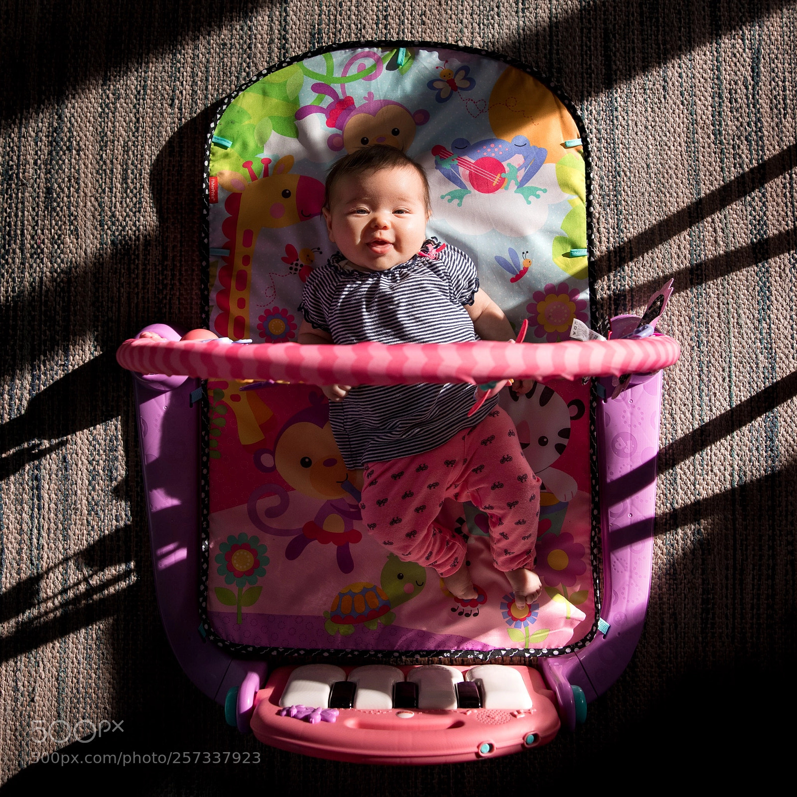 Canon EOS 5D Mark IV sample photo. Evening shadows photography