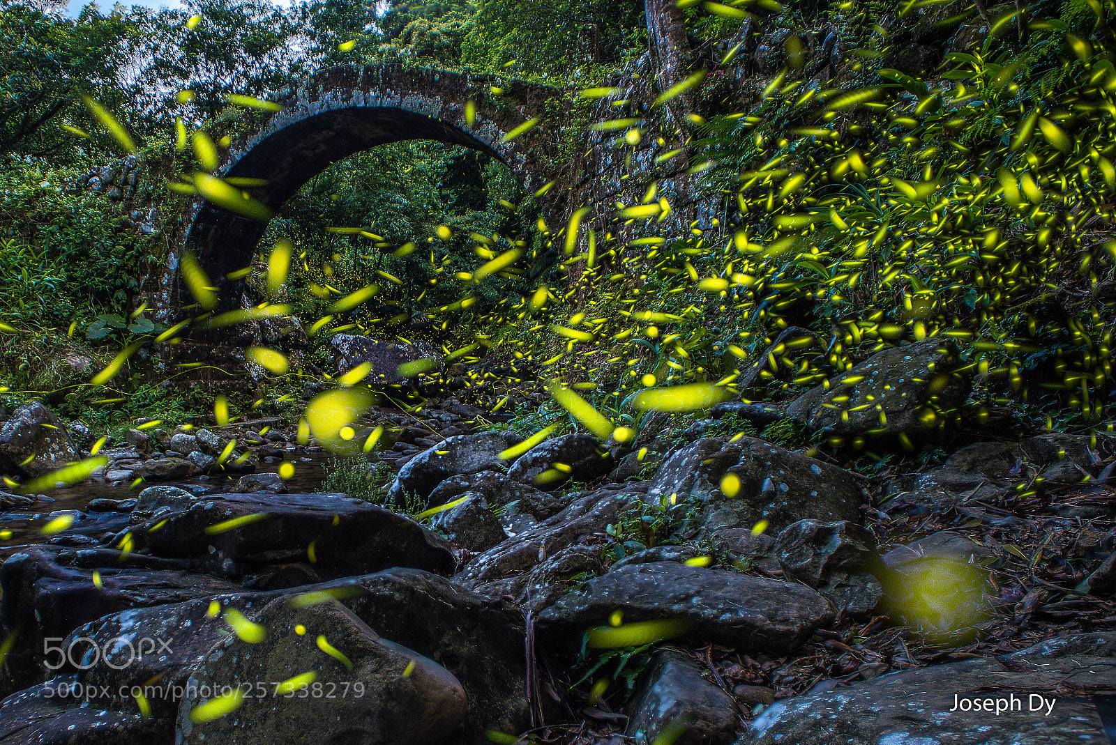 Nikon D750 sample photo. 6840-02.jpg photography