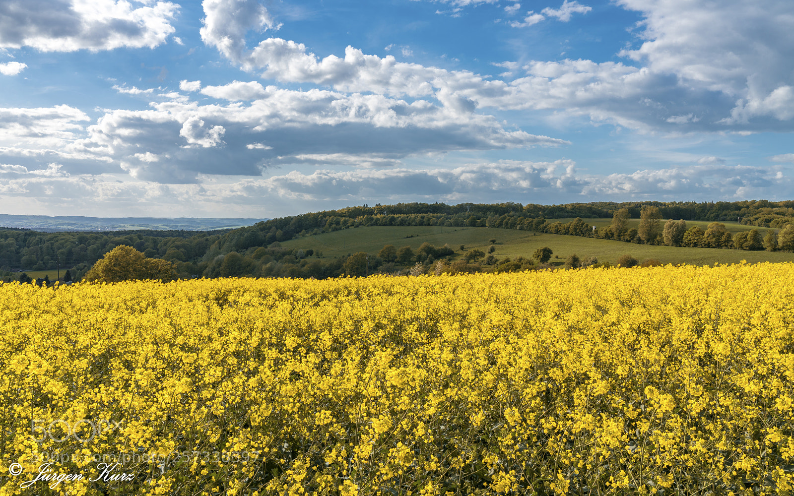 Sony a7R II sample photo. Frühlingsgefühle photography