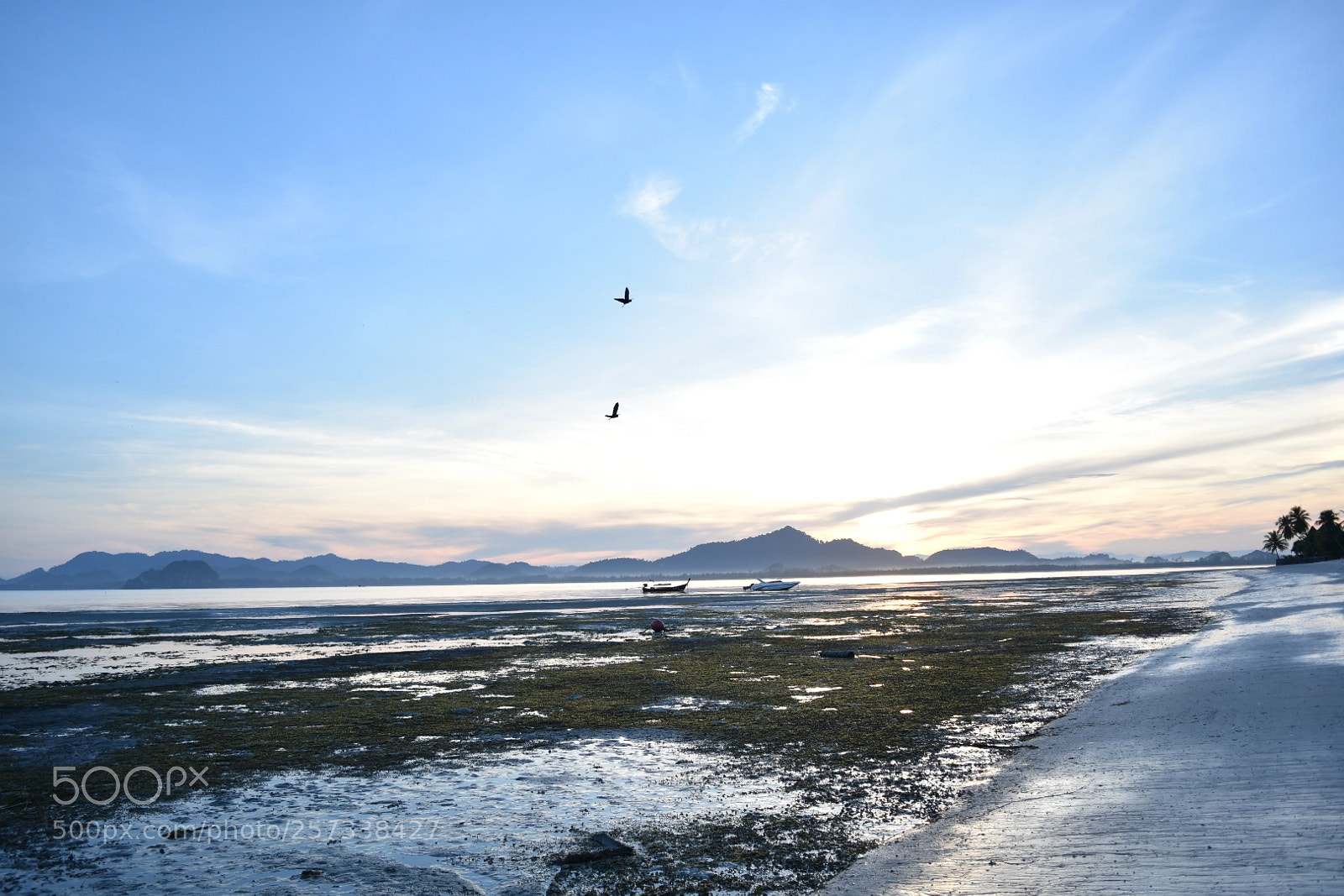 Nikon D5500 sample photo. Morning beach photography