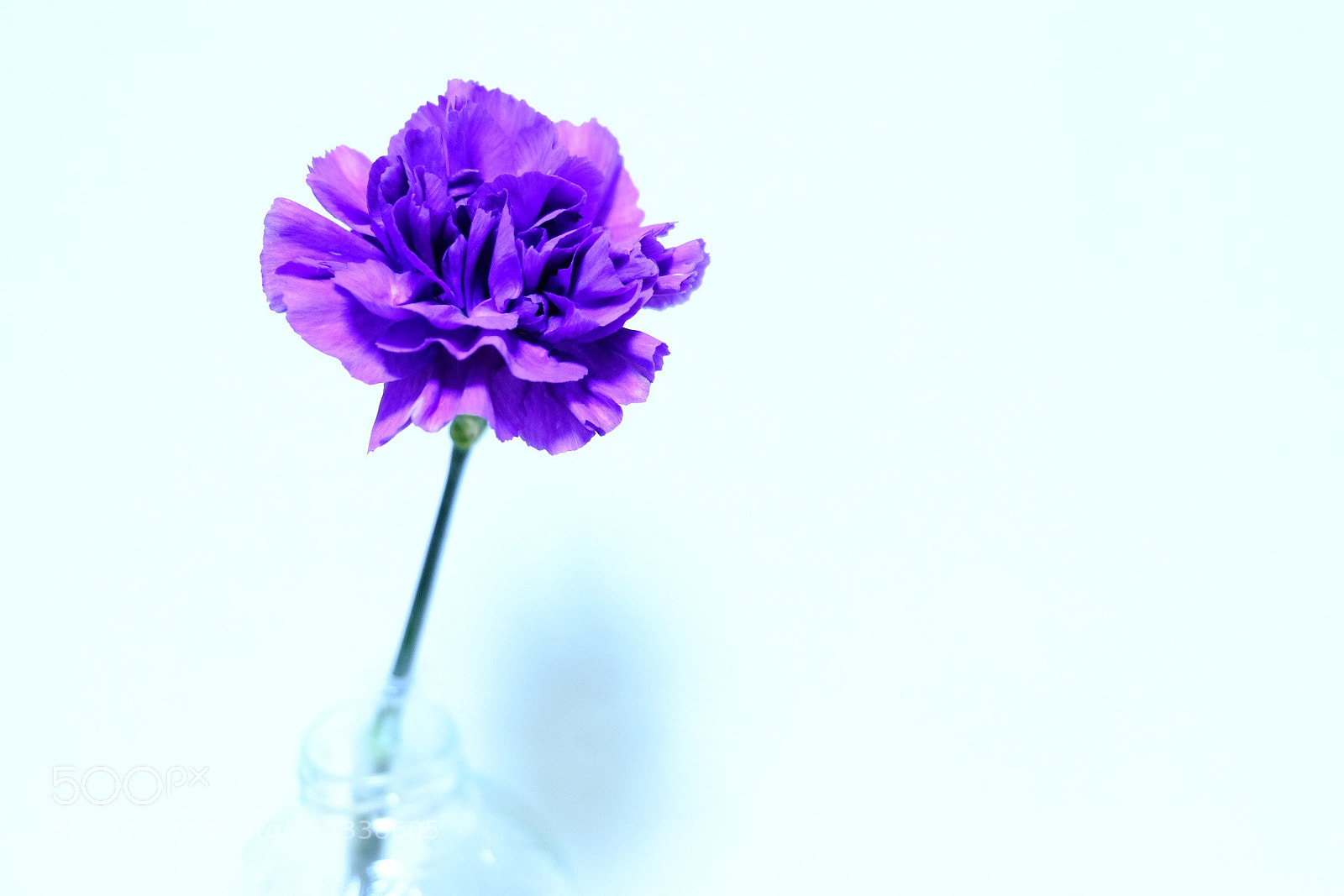 Fujifilm X-T1 sample photo. Mother’s day  photography