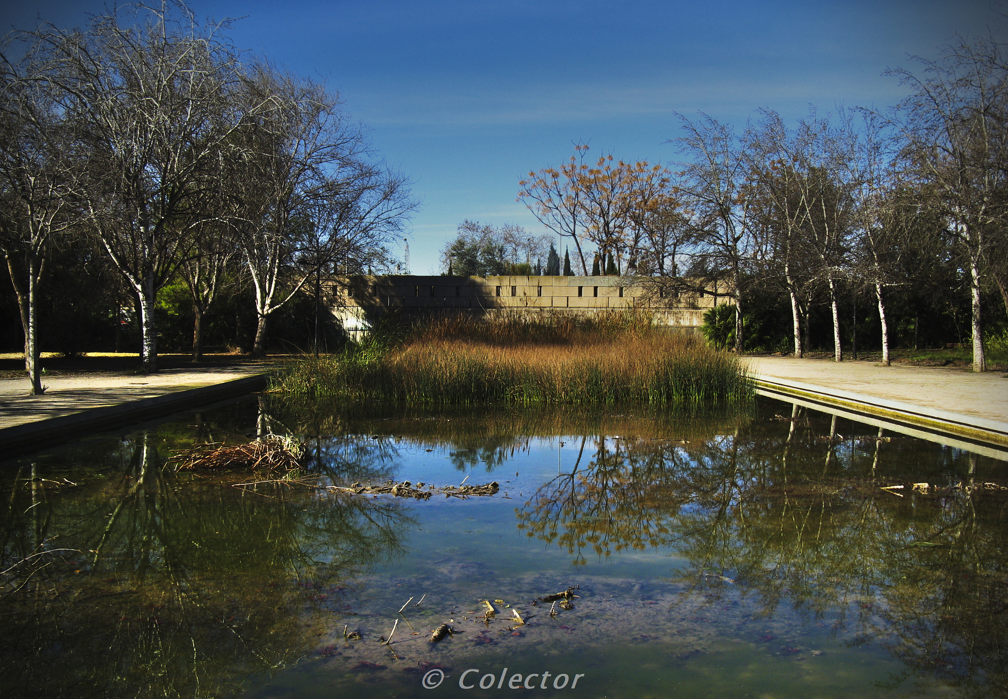 Canon POWERSHOT A720 IS sample photo. Relax en el estanque (relax in the pond) photography