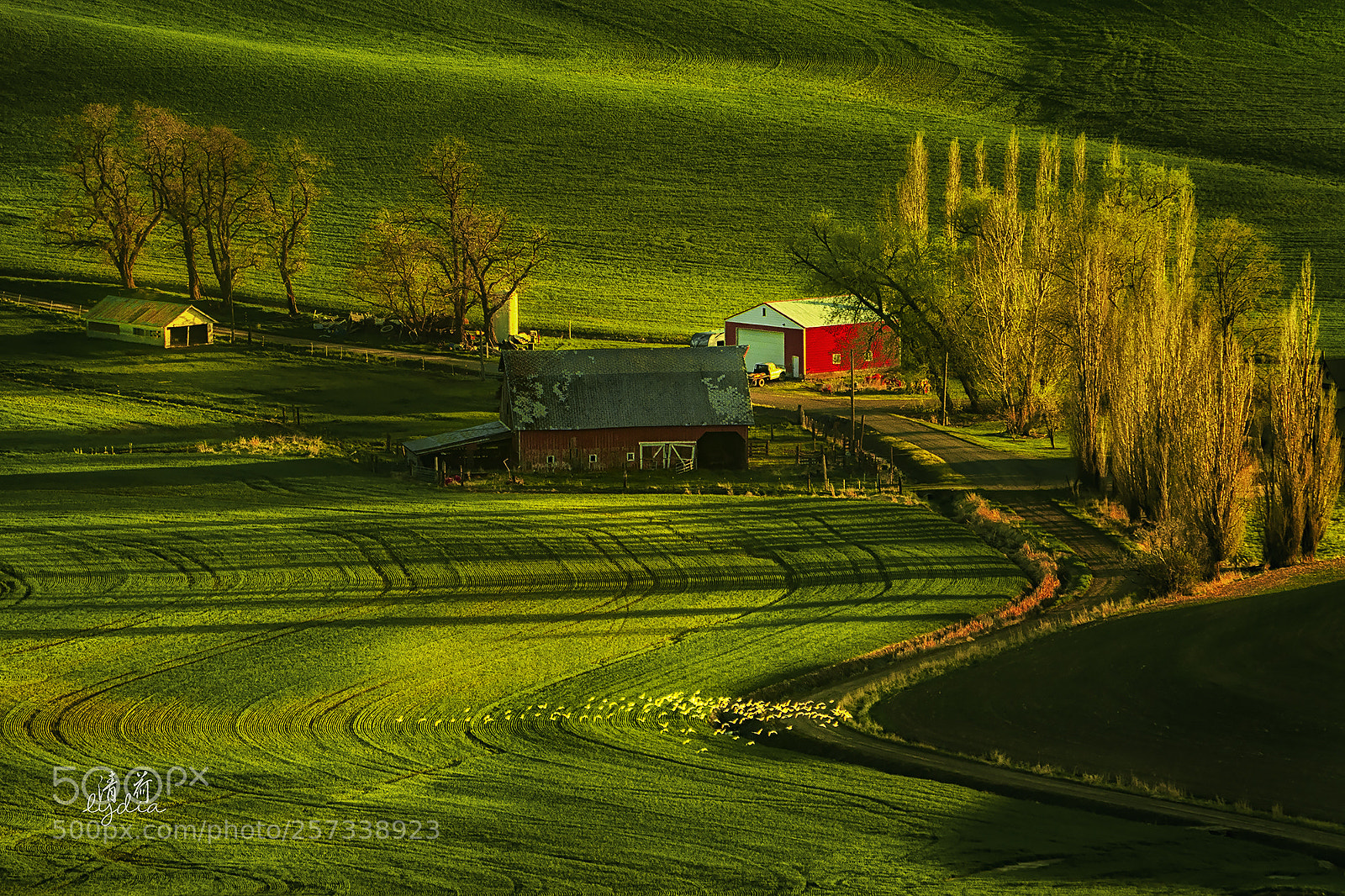 Sony a9 sample photo. Farmland photography