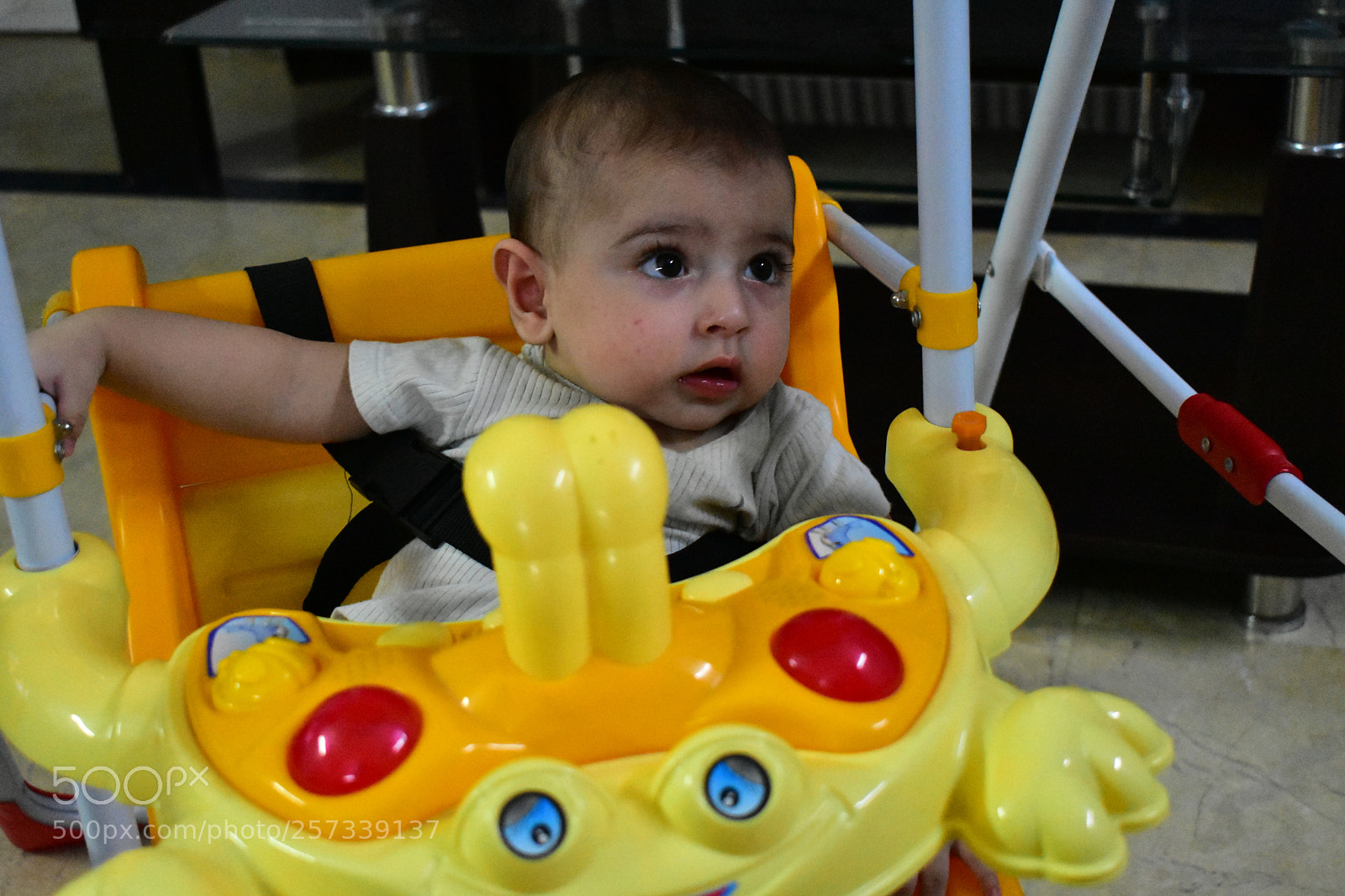 Nikon D3400 sample photo. Untitled photography