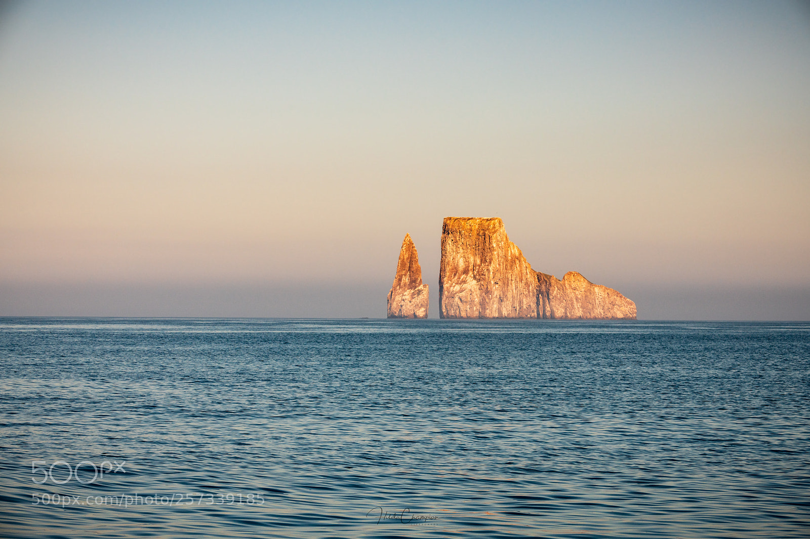 Nikon D850 sample photo. Kicker rock photography