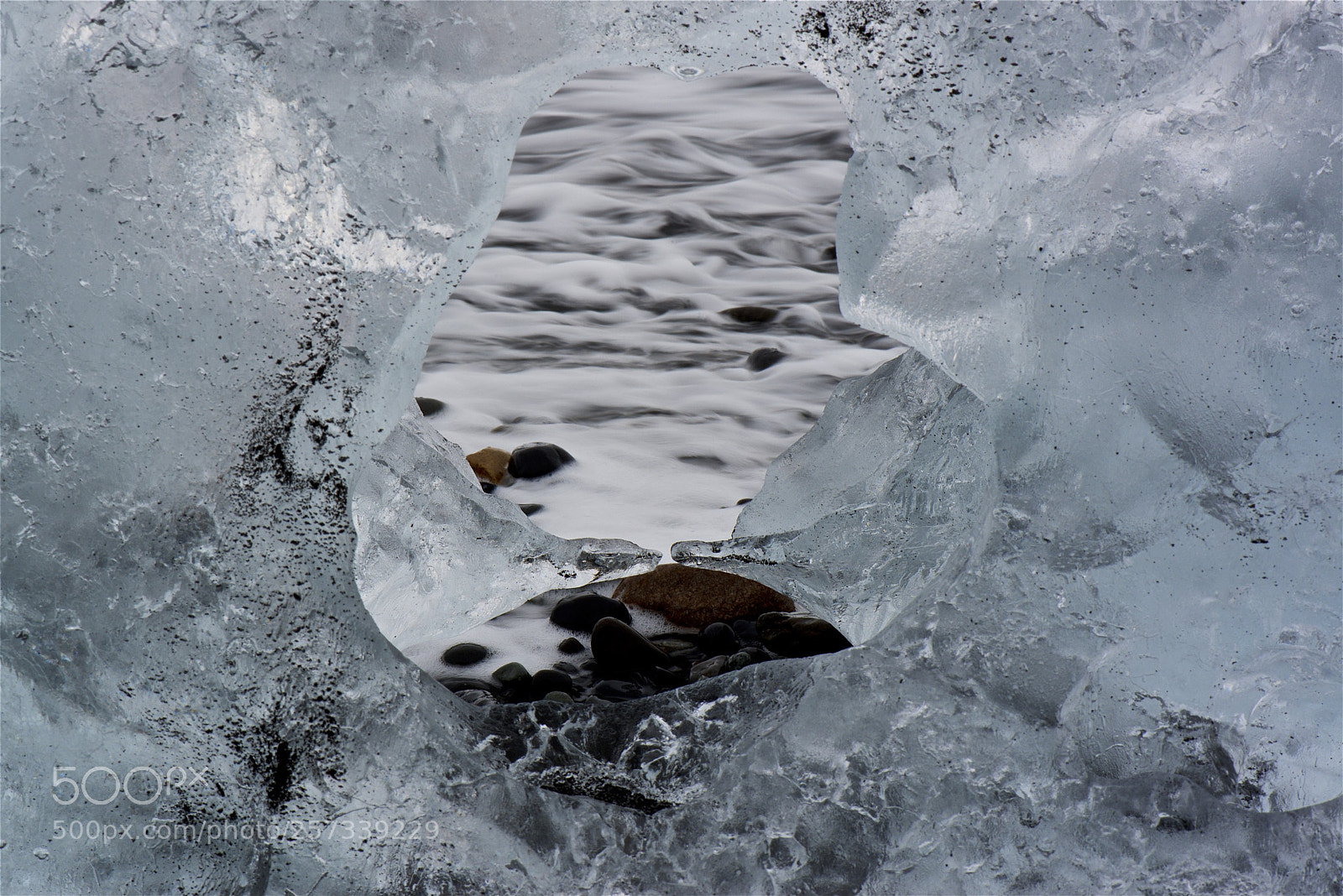 Nikon D600 sample photo. Peeking through photography