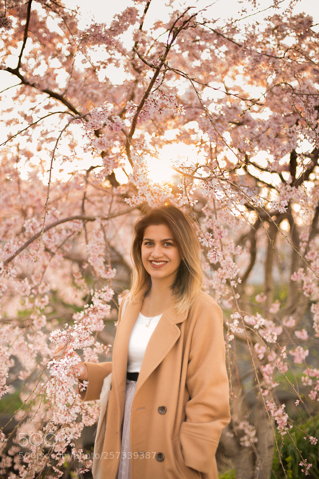 Nikon D750 sample photo. 8571-6.jpg photography