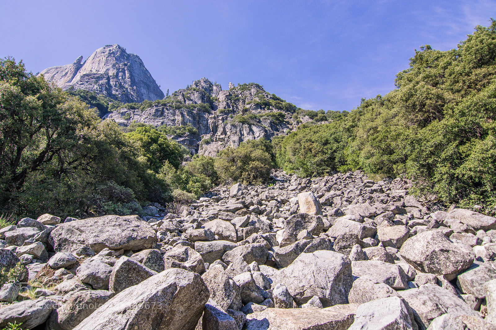 Nikon D5200 sample photo. Yosemite park photography
