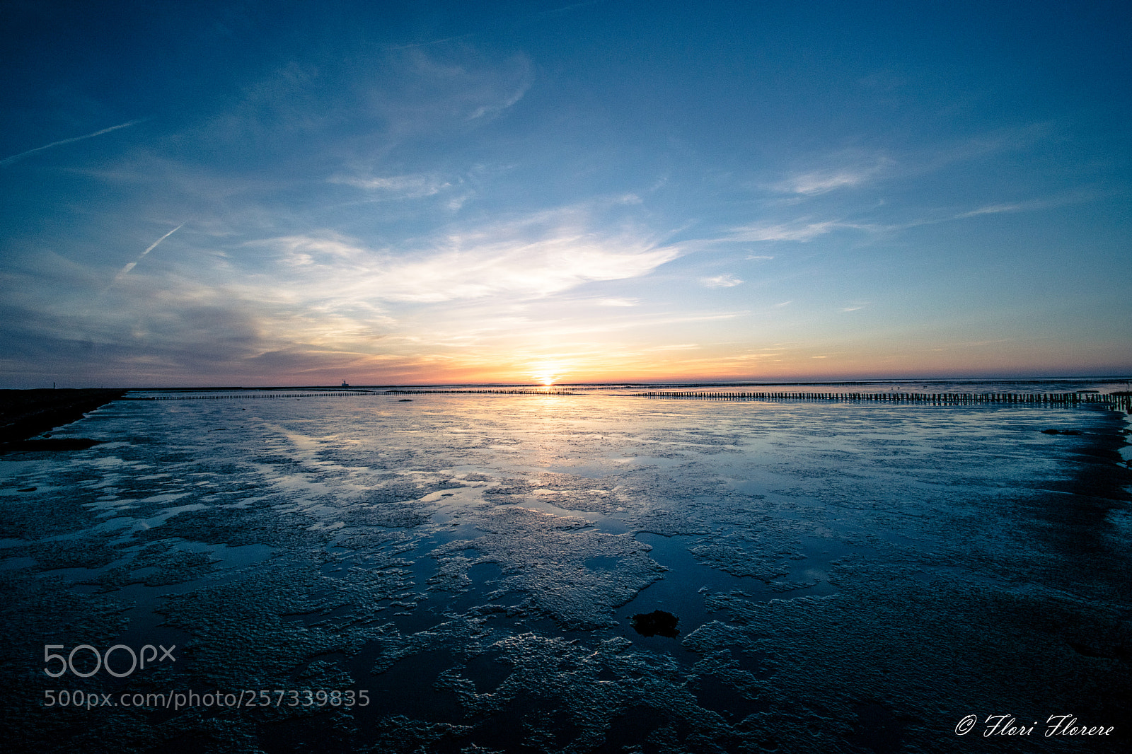 Nikon D5300 sample photo. Mudflat photography