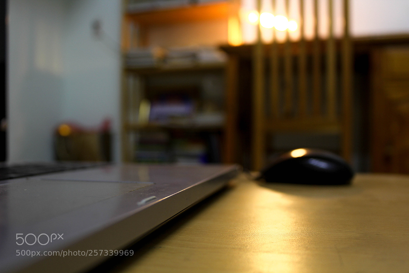 Canon EOS 60D sample photo. Img photography