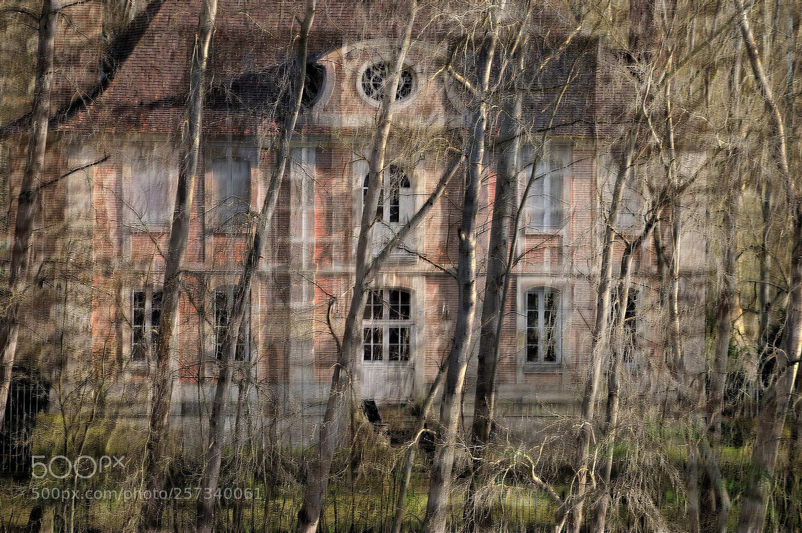 Nikon D300 sample photo. The house in the photography
