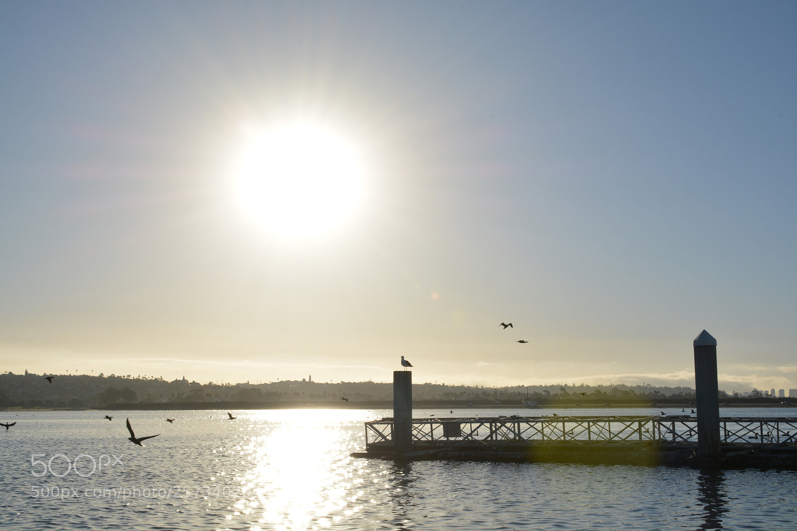 Nikon D7100 sample photo. Camplandonthedocks photography