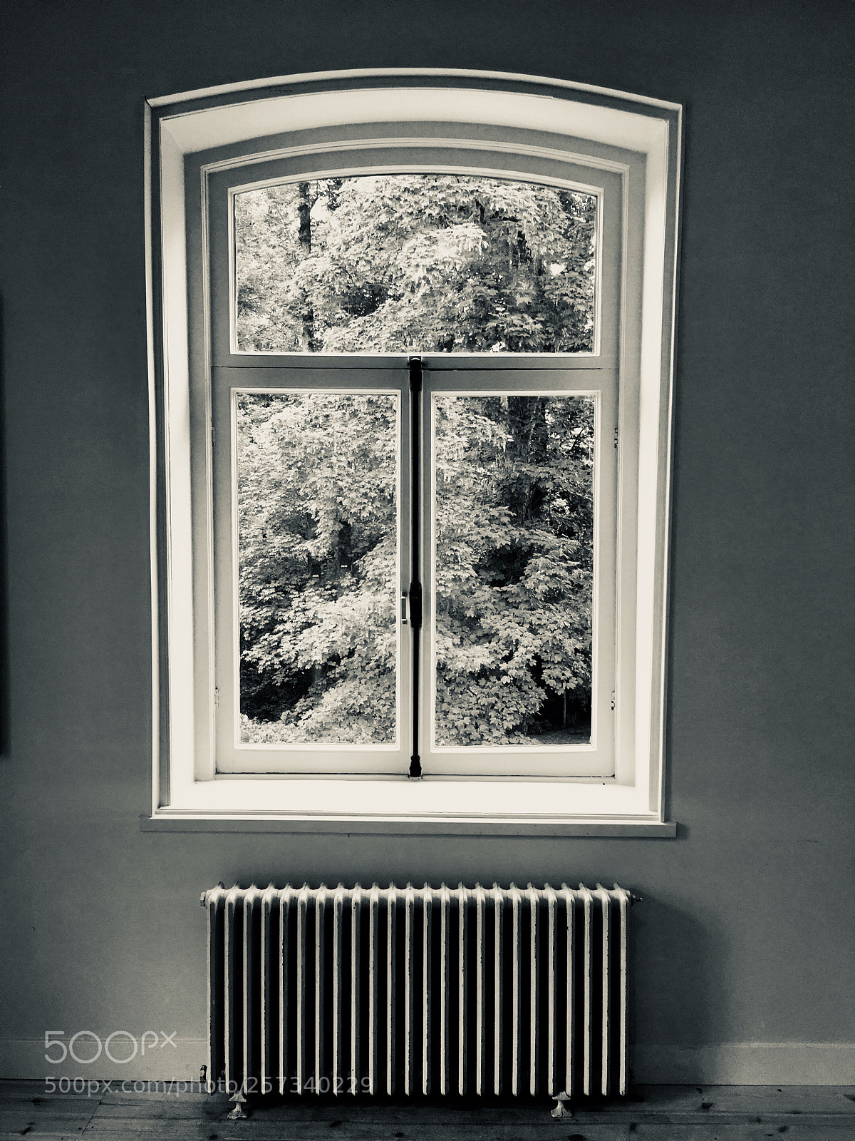Apple iPhone 6s sample photo. Untitled photography