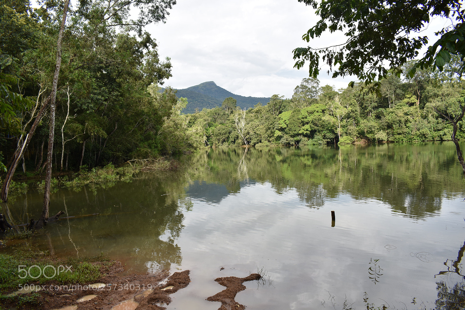 Nikon D3400 sample photo. Water reflection photography