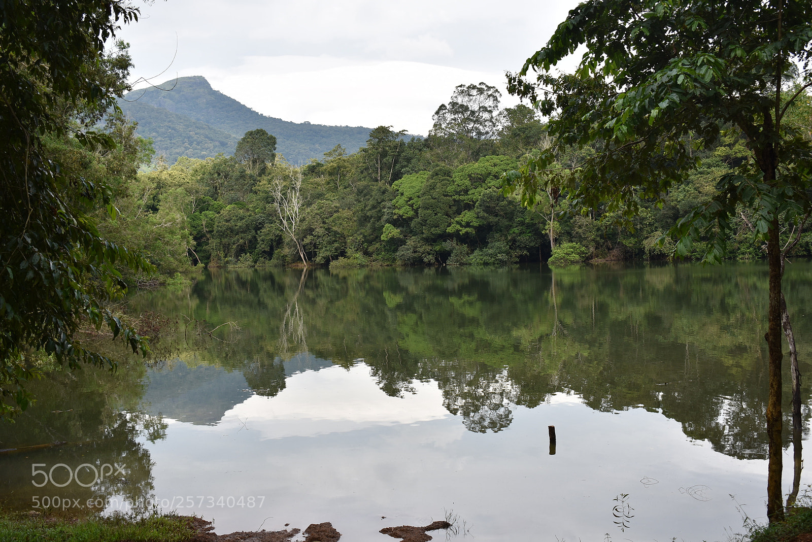 Nikon D3400 sample photo. Reflection photography