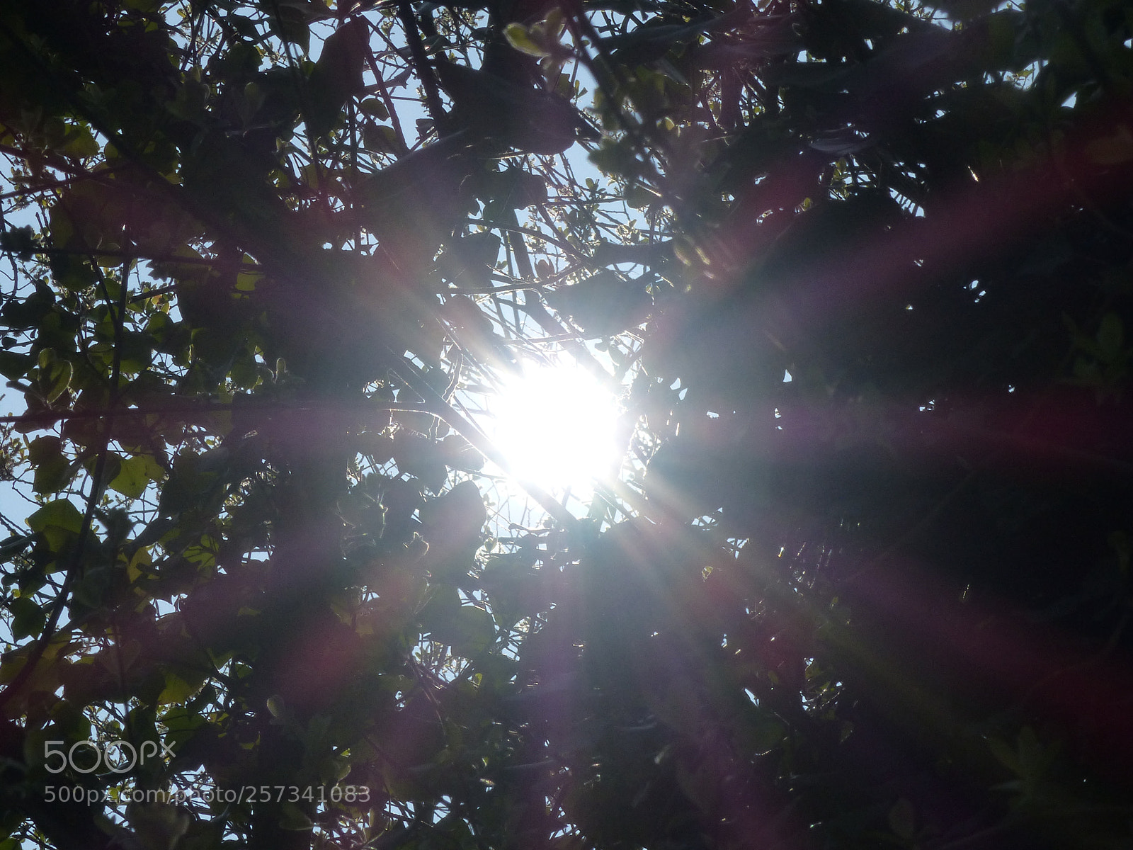 Panasonic Lumix DMC-FZ200 sample photo. Sun photography