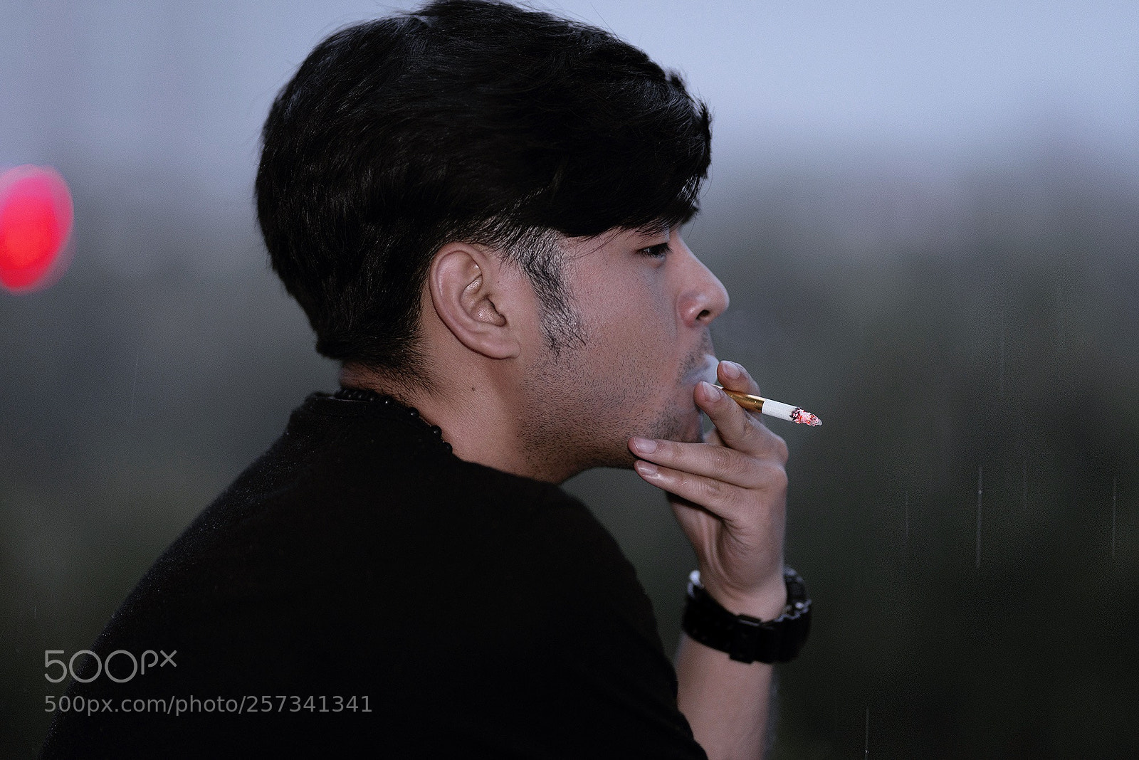 Nikon D610 sample photo. Untitled photography