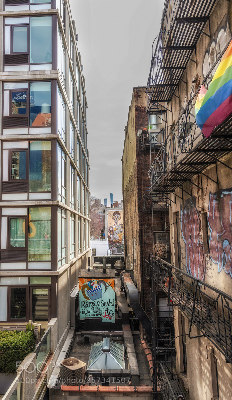 Nikon D850 sample photo. High line rooftop photography