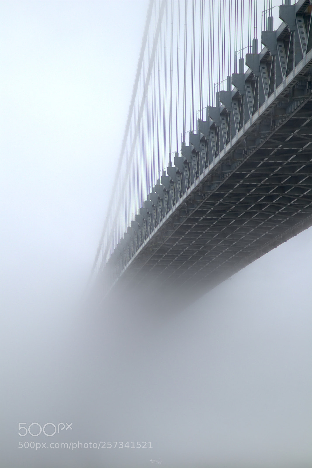 Canon EOS M5 sample photo. Fading into the mist photography